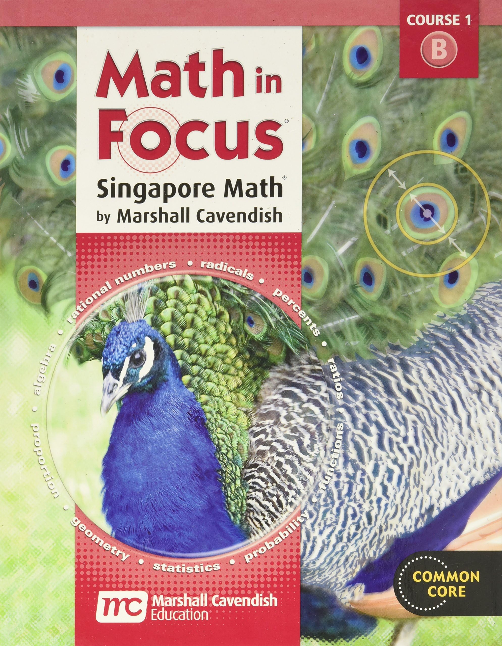 Student Edition 2012: Volume B (Math in Focus: Singapore Math)