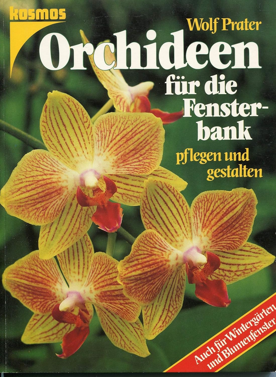 Orchideen für die Fensterbank. Pflegen und gestalten. Auch für