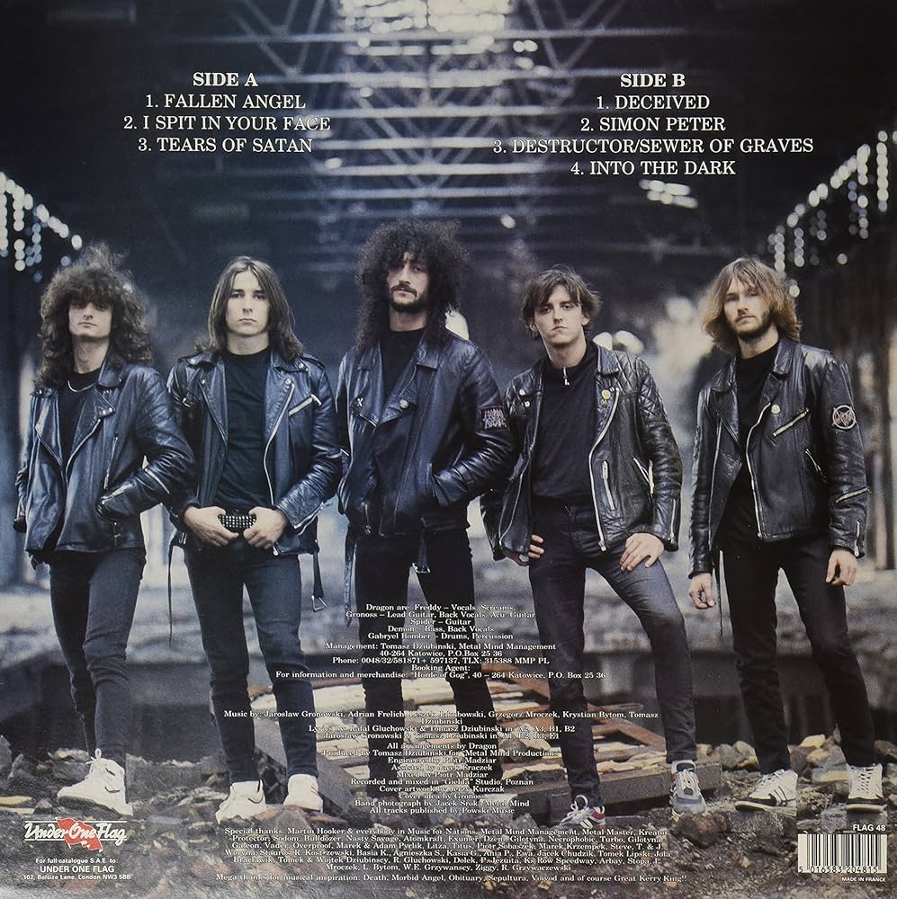 Amazon.com: Fallen Angel: CDs & Vinyl