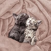 Vista 4 de Utopia Bedding - Manta de vellón de lujo, mullida, antiestática; manta de suave microfibra de 8.8 oz/yd² (300 g/m²) para cama; tamaño Queen