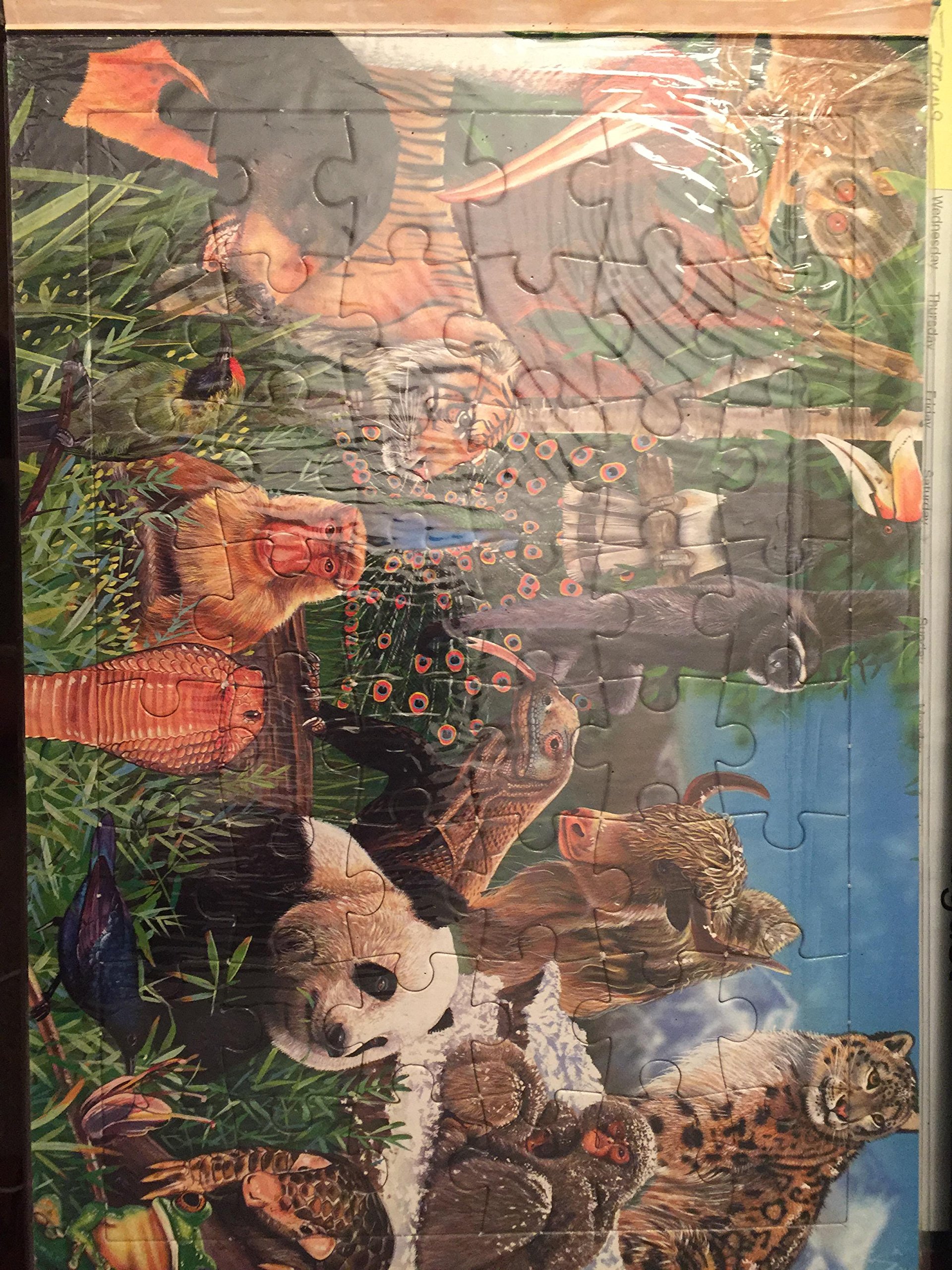 Animals of the World [With 6 48-Piece Jigsaws] [Hardcover] Garry Fleming - PT02