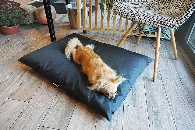 Foto 4 de 8 de 4L Textil ZOE cojín para perros lavable con funda y cremallera cojín para perros grandes colchoneta…