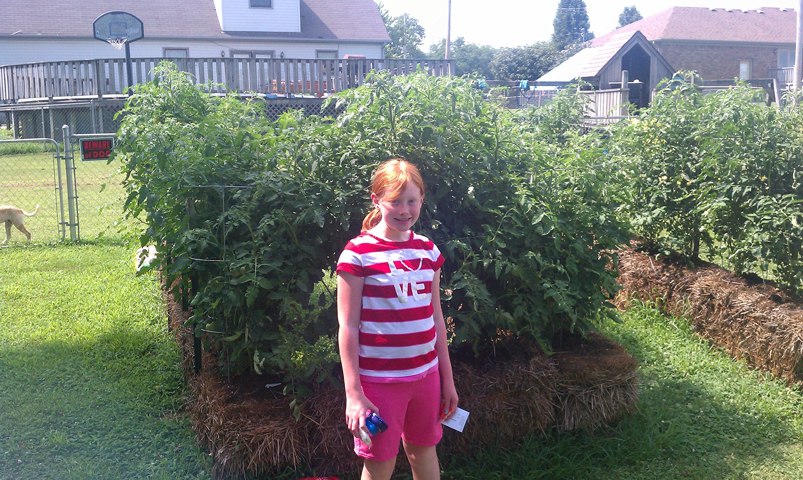 Straw Bale Gardening - Image 9