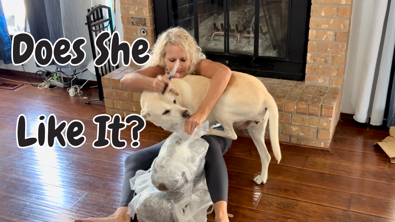 Orthopedic Dog Beds For Large Dogs