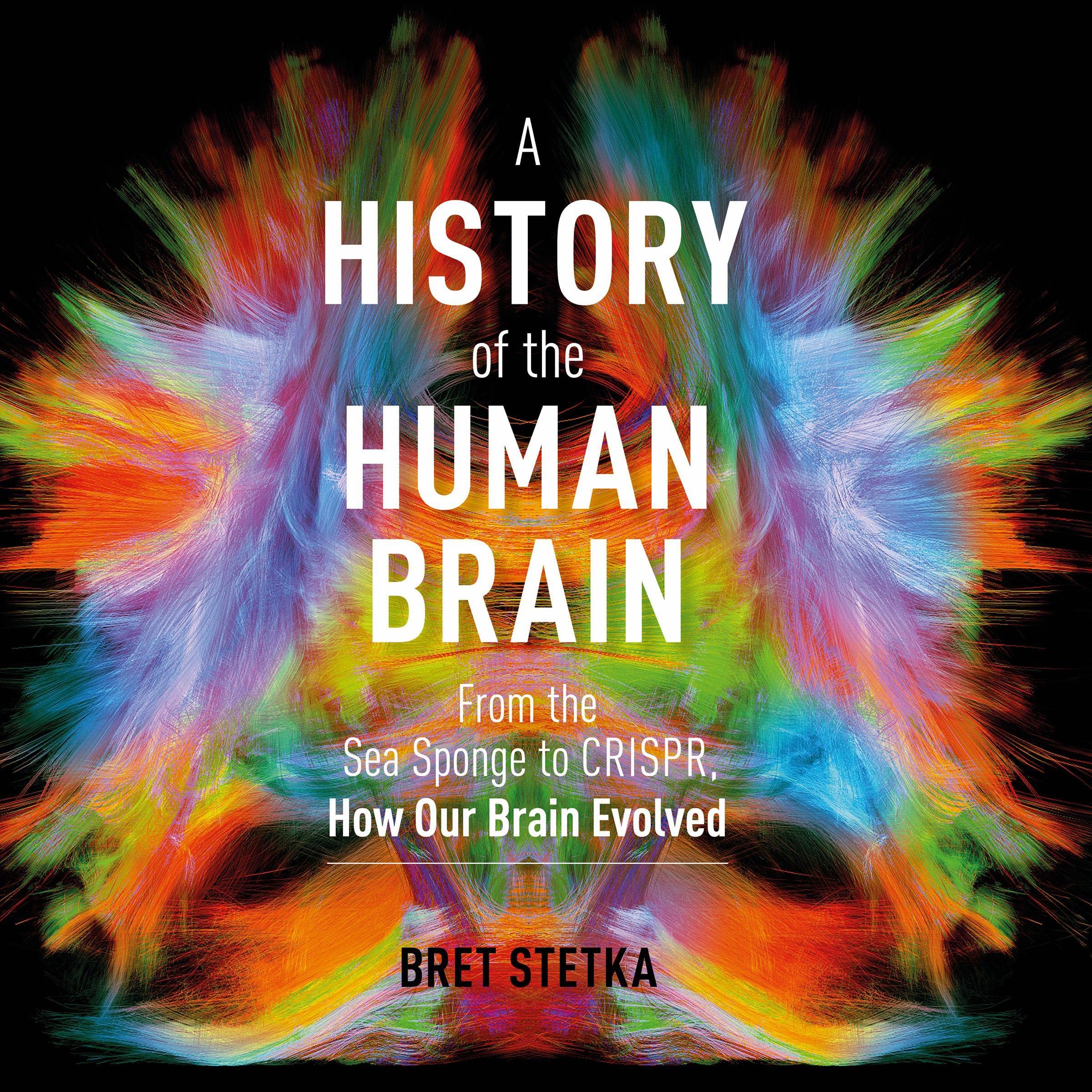 Cover art for A History of the Human Brain
