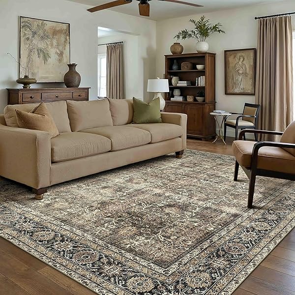 Earthy Brown Rug Ideas for Living Room Balance 10 Traditional Distressed Retro Area Rug