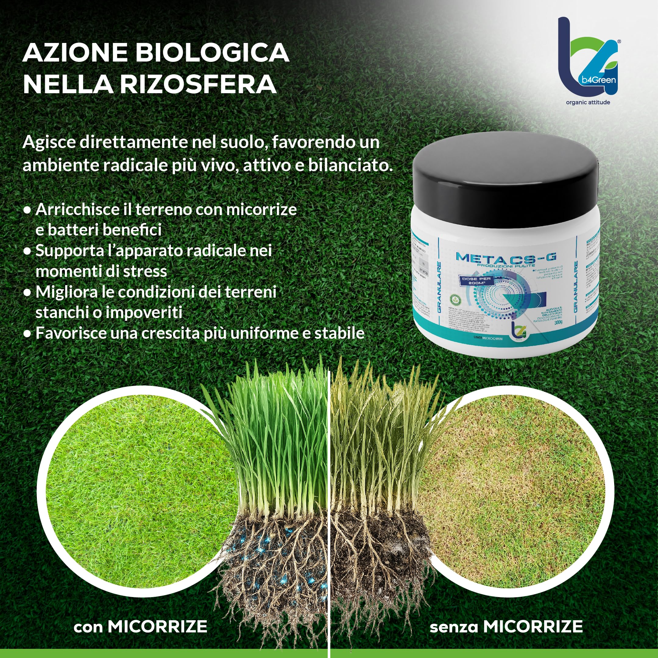 B4Green Meta CS-G Granulare 300g per 200m² – Micorrize per Piante e Micorrize in Polvere, Biostimolante Naturale del Suolo per Prato Orto e Giardino, Radici Forti e Tappeto Erboso Sano