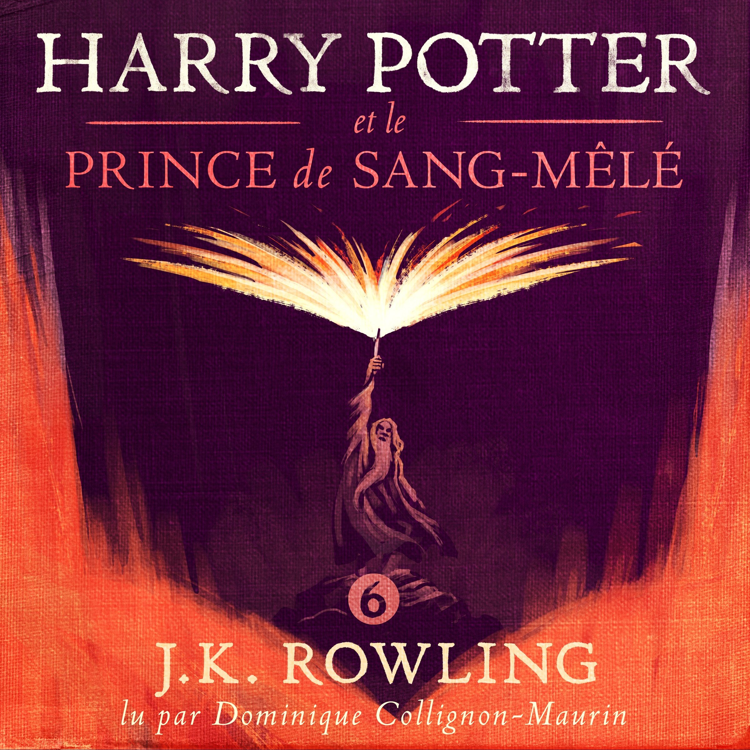 Harry Potter et le Prince de Sang-Mêlé: Harry Potter 6