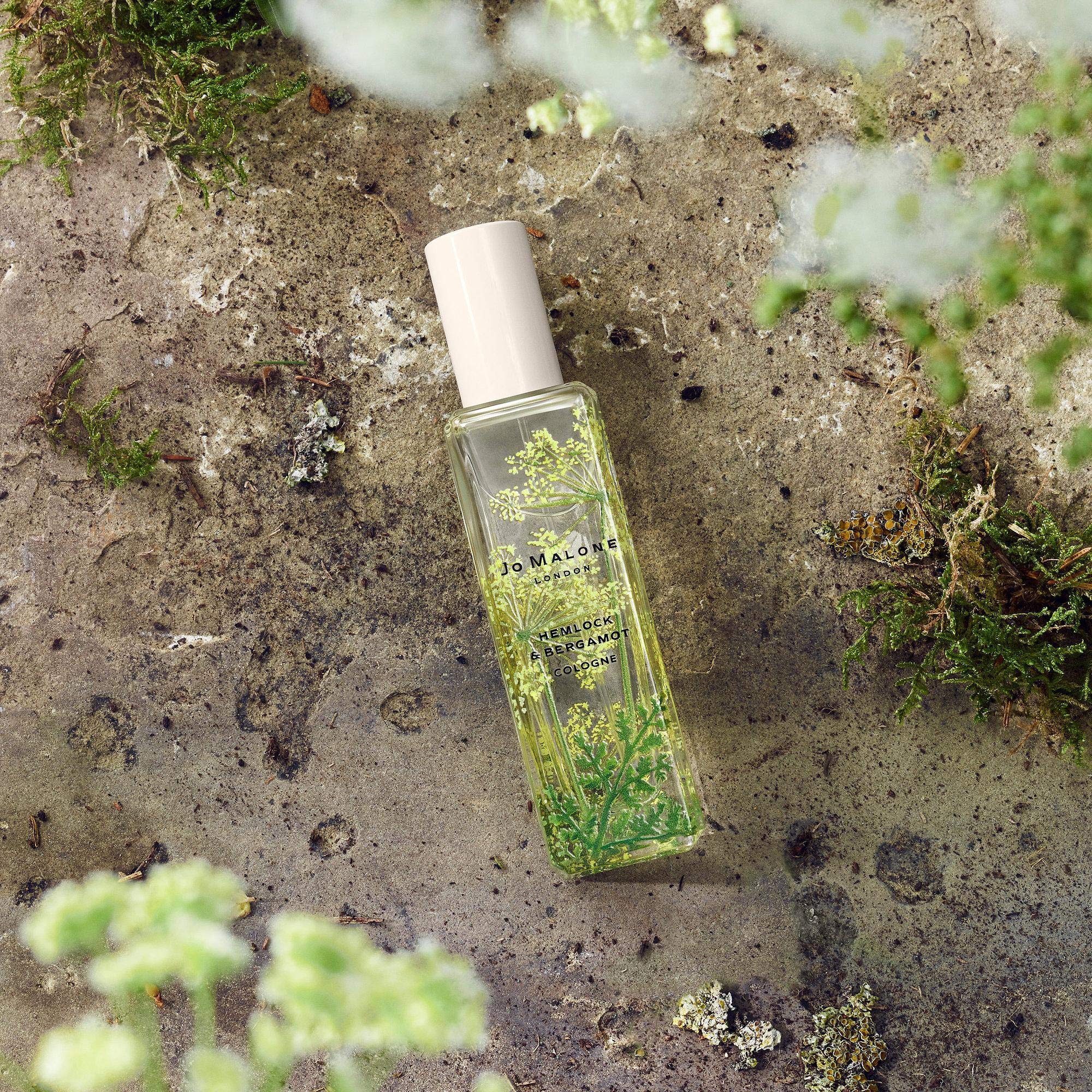 Ubuy Jo Malone Hemlock And Bergamot Cologne Jo Malone Wild Flowers