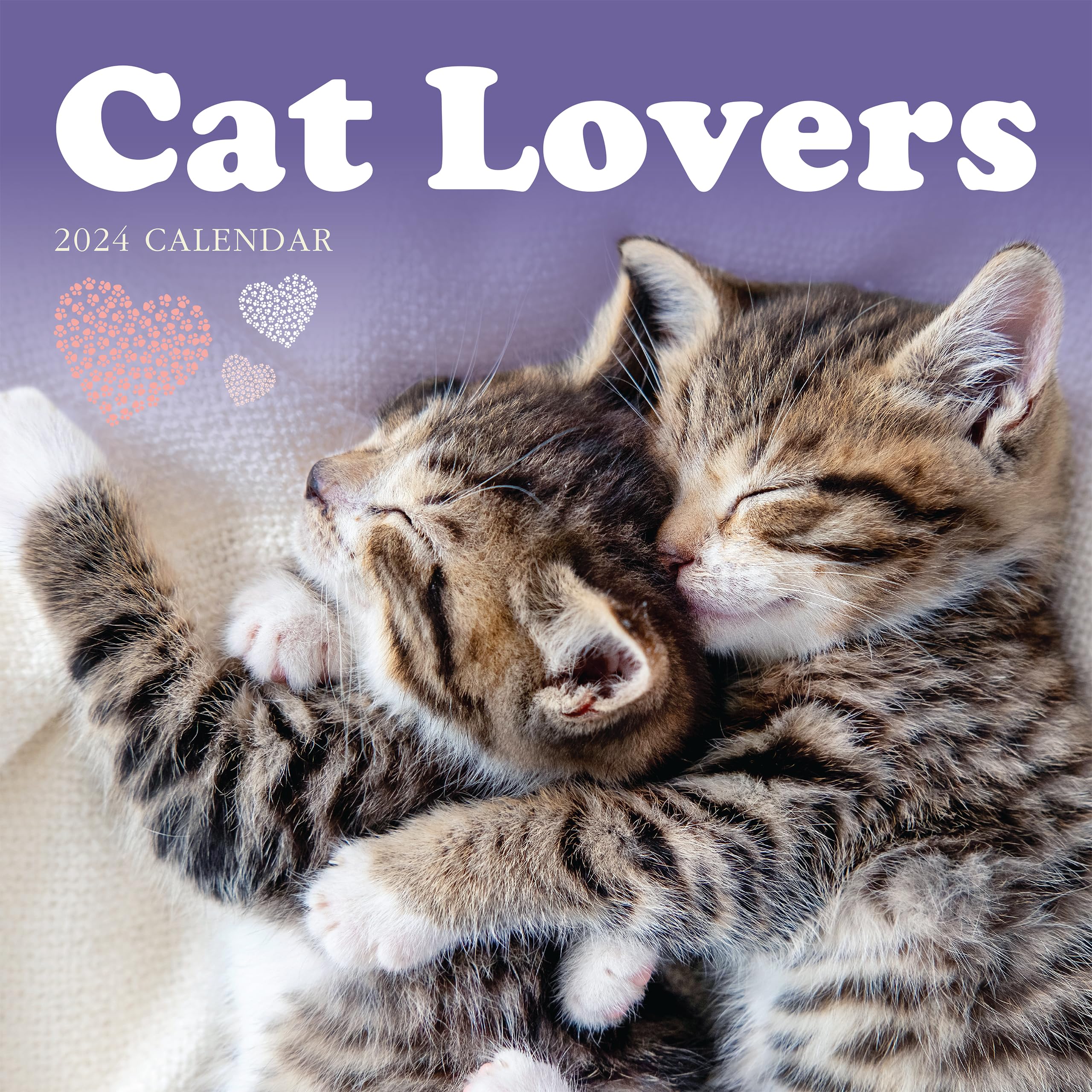 Cat Lovers 2024 Large Wall Calendar, by Fresh Publishing, Size 302mm x 604mm (Open), Thick & Sturdy Eco Friendly (FSC) Paper.