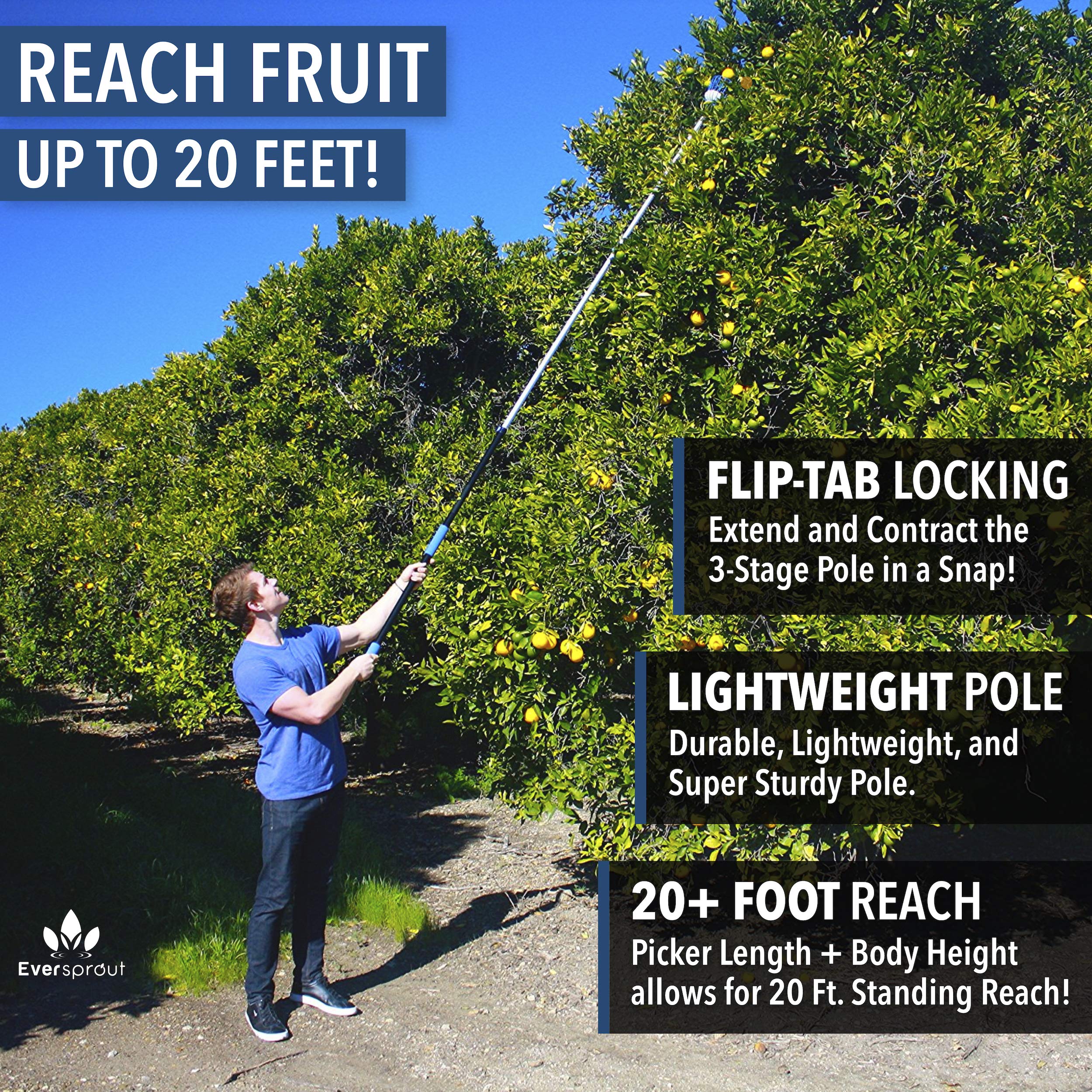 Buy EVERSPROUT 13Foot Fruit Picker (20+ Foot Reach) Telescoping