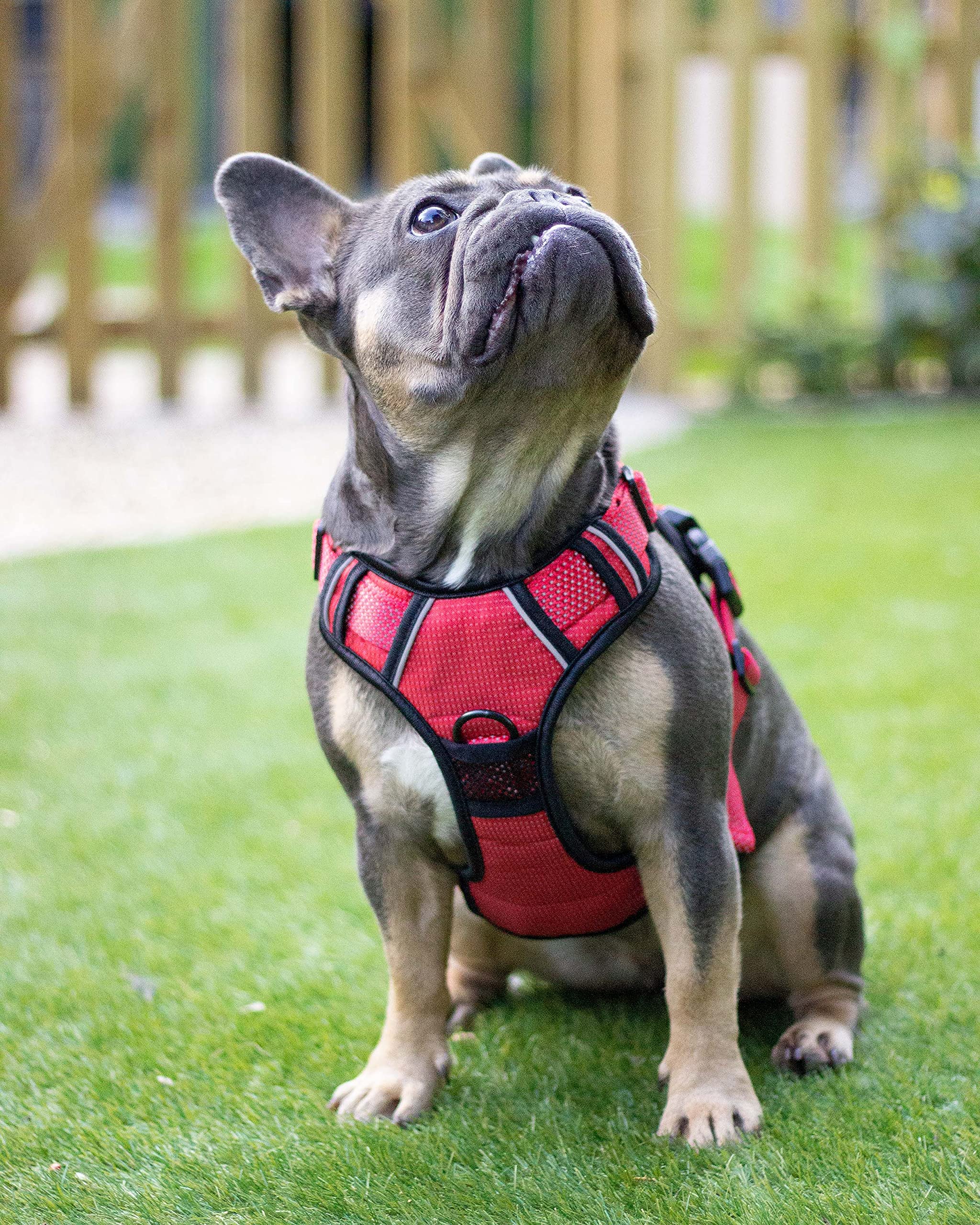 Rosewood Arnés Reflectante para Perro, Grande, Rojo