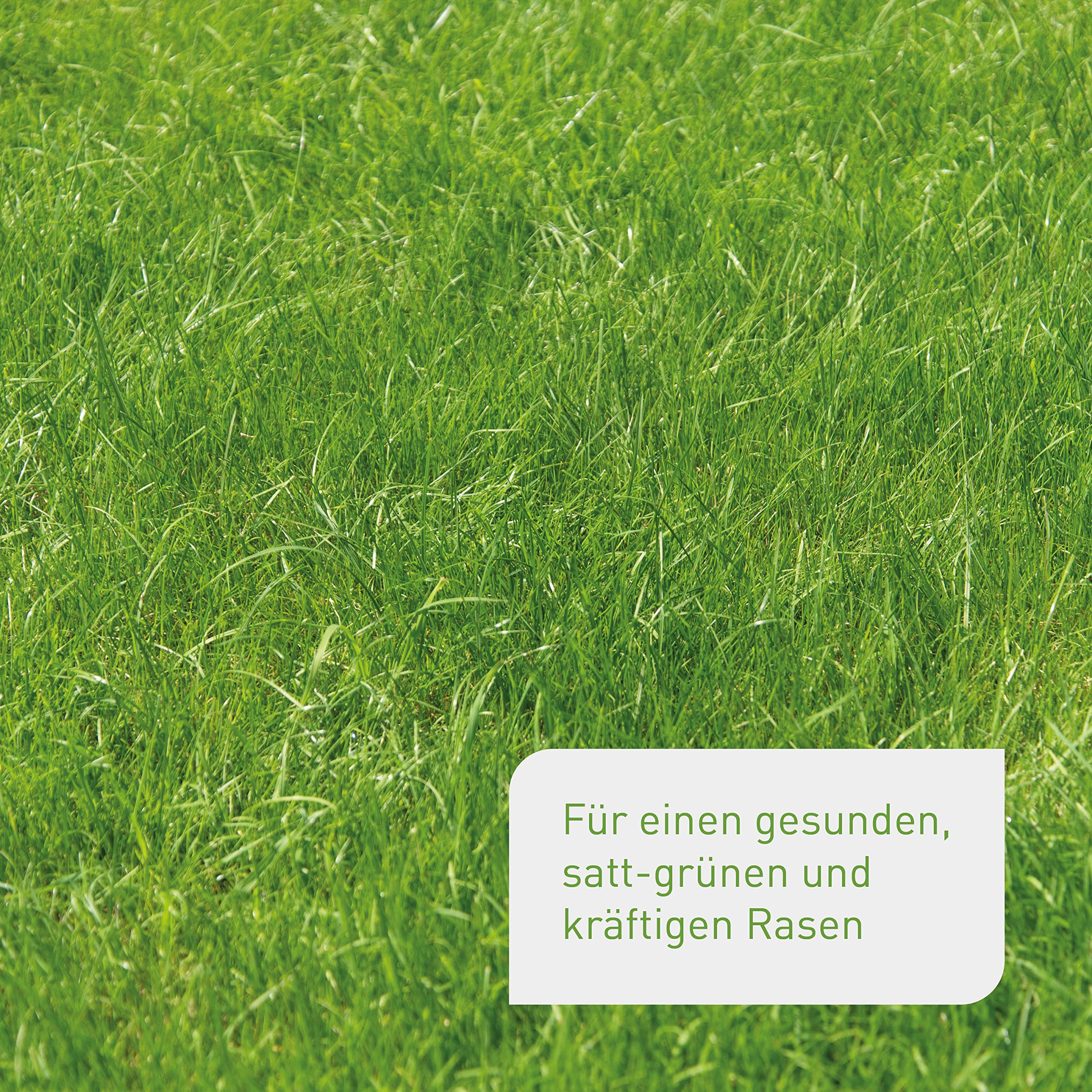 Plantura Bio-Rasendünger Frühjahr/Sommer 10,5 kg organischer Langzeitdünger für Rasen