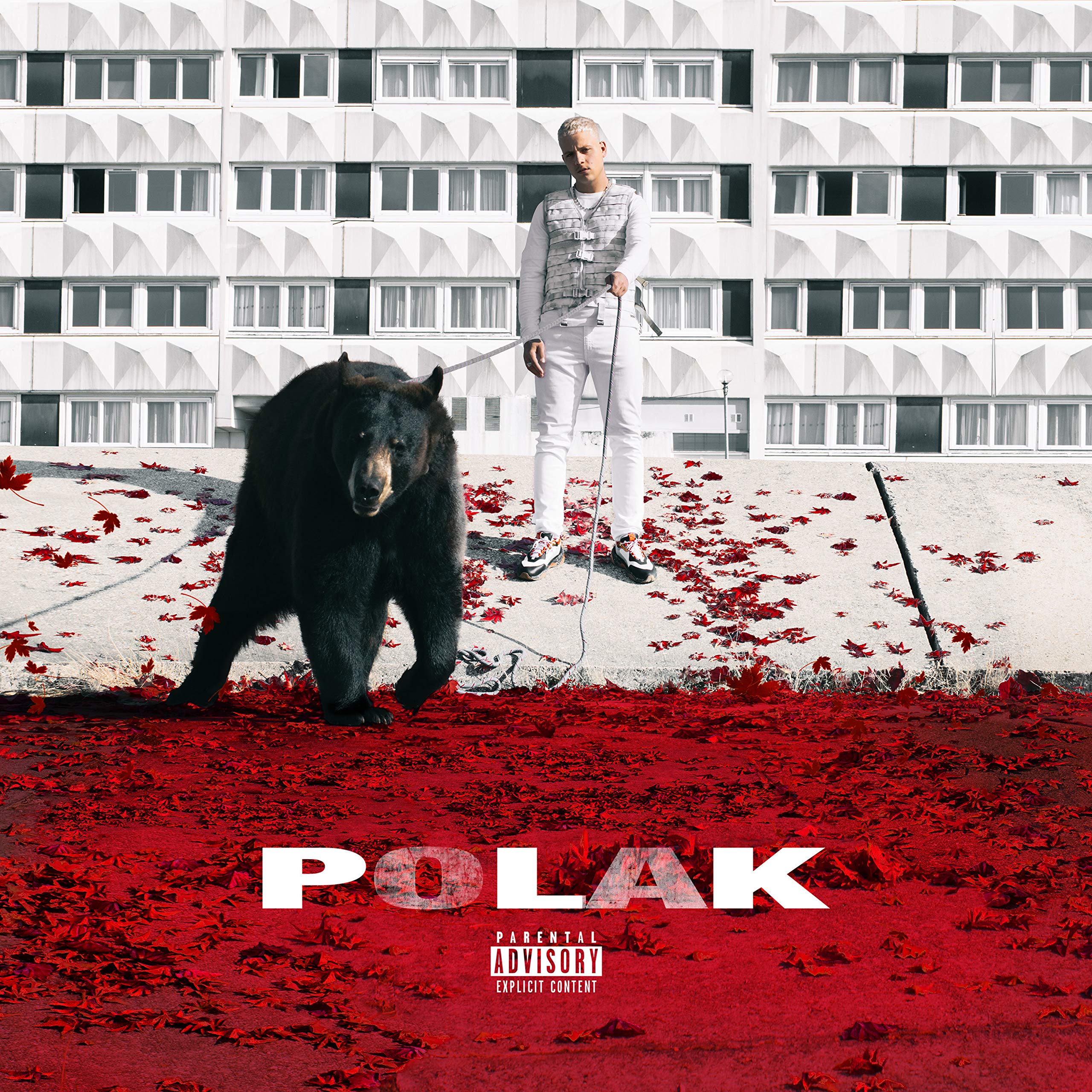 Polakexplicit_lyrics