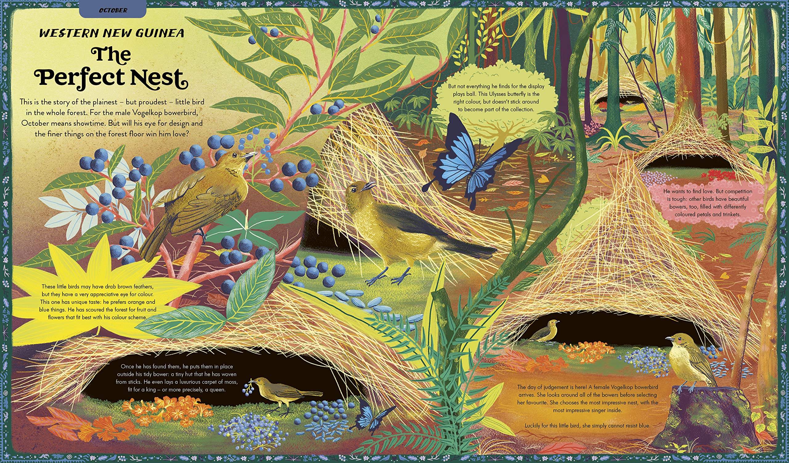 What Are You Doing Today, Mother Nature?: Travel the world with 48 nature stories, for every month of the year (Nature’s Storybook)