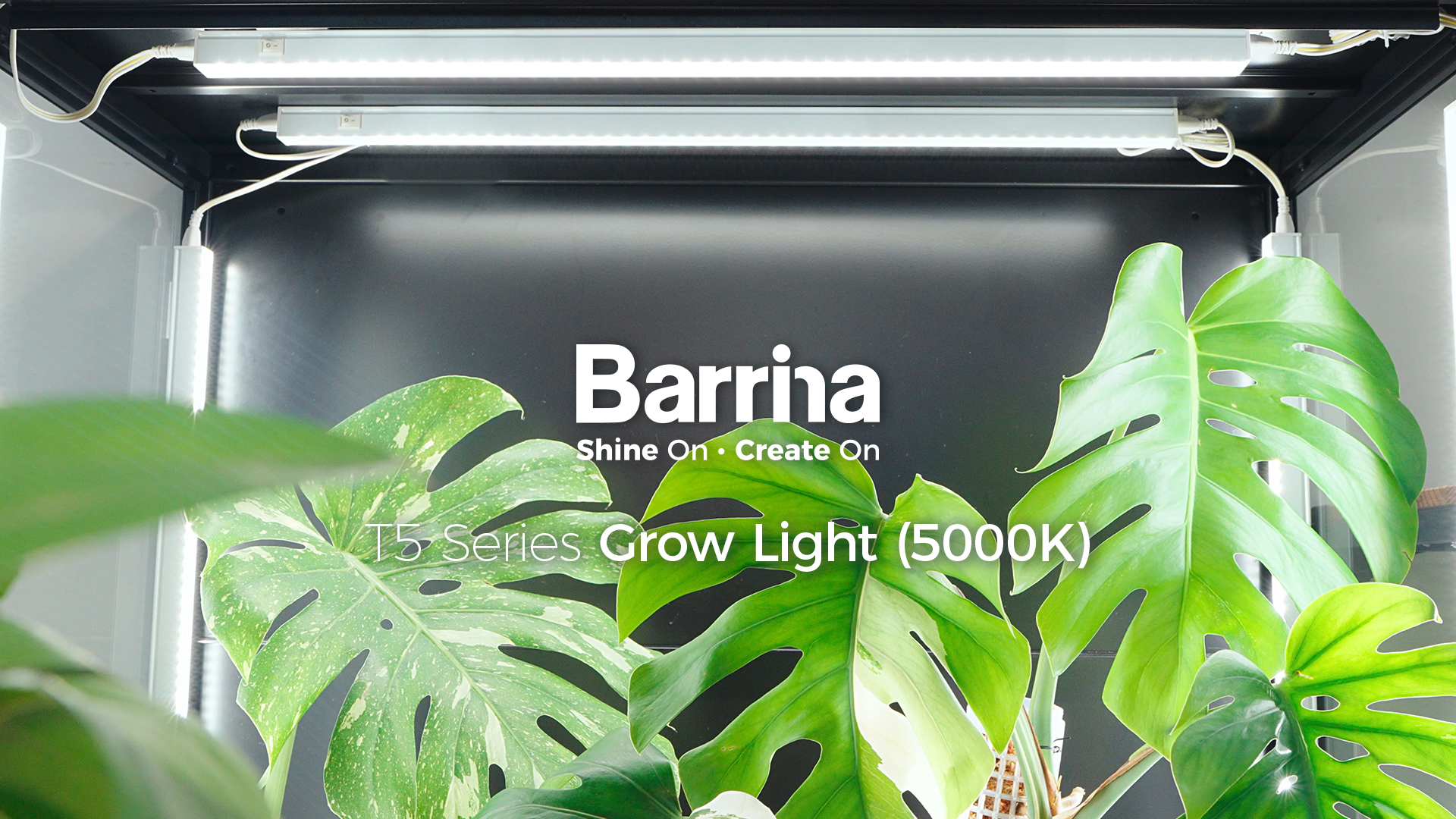 Amazon.com : Barrina T5 Grow Lights for Indoor Plants, 4FT 160W (8