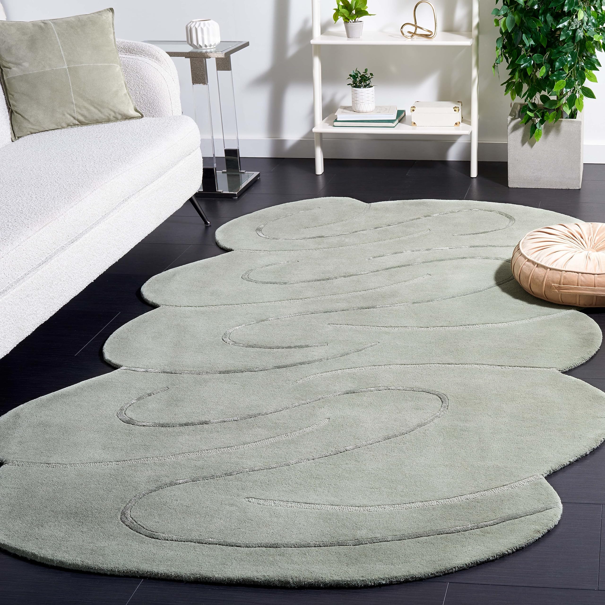 Amazon.com: Safavieh Novelty Collection Area Rug - 5
