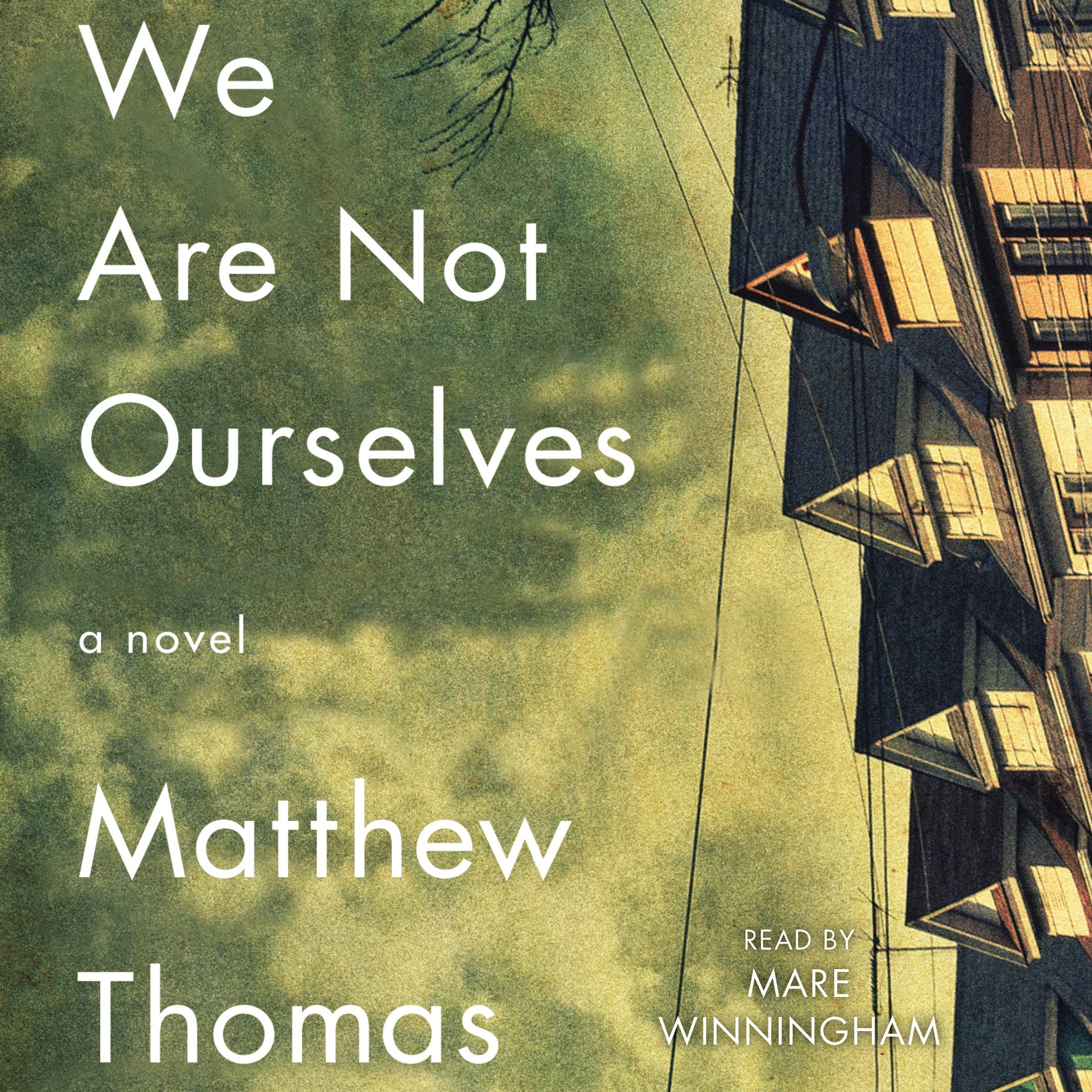 Cover art for We Are Not Ourselves