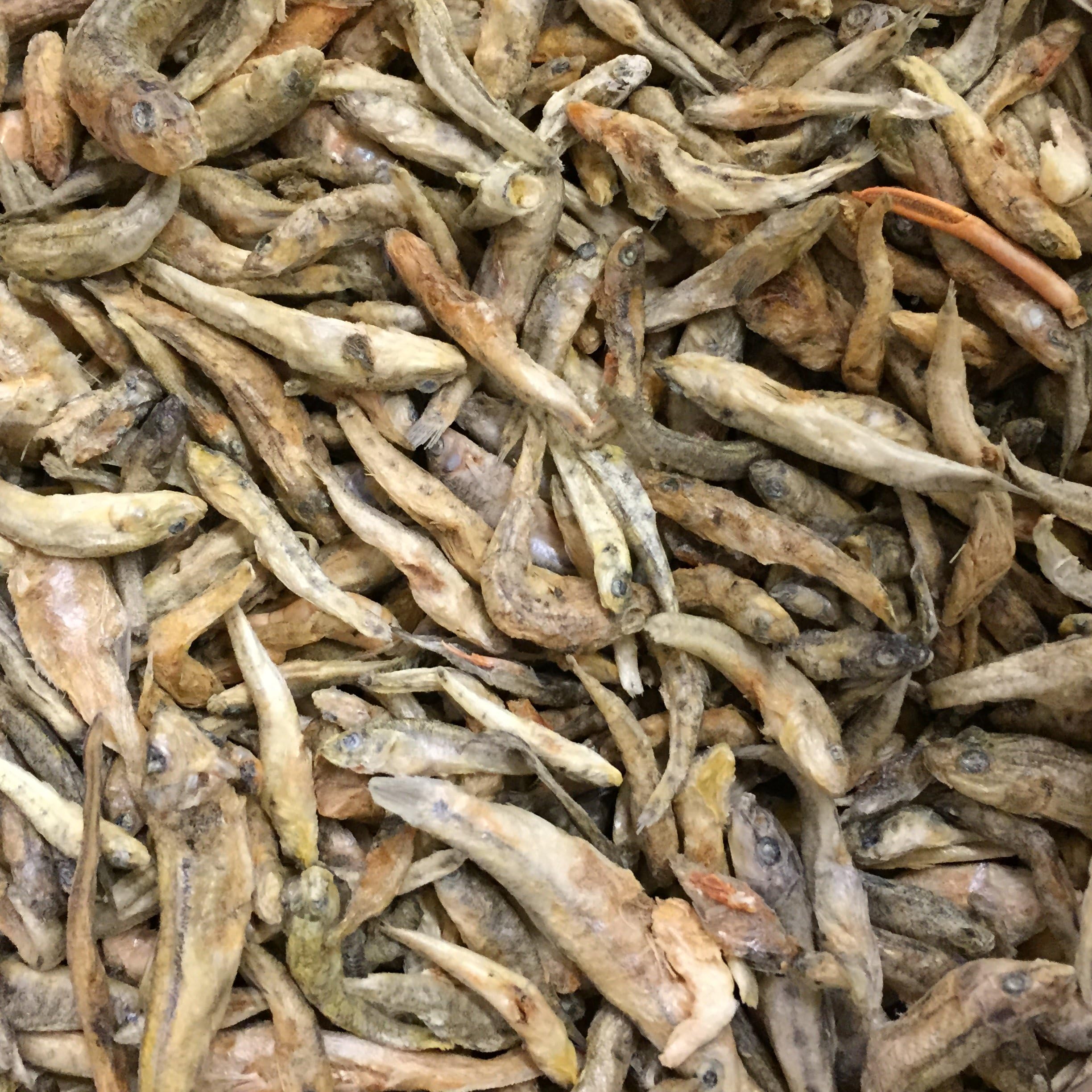 Freeze Dried Whole Fish Turtle and Fish Food For Tropical and Marine (200g)