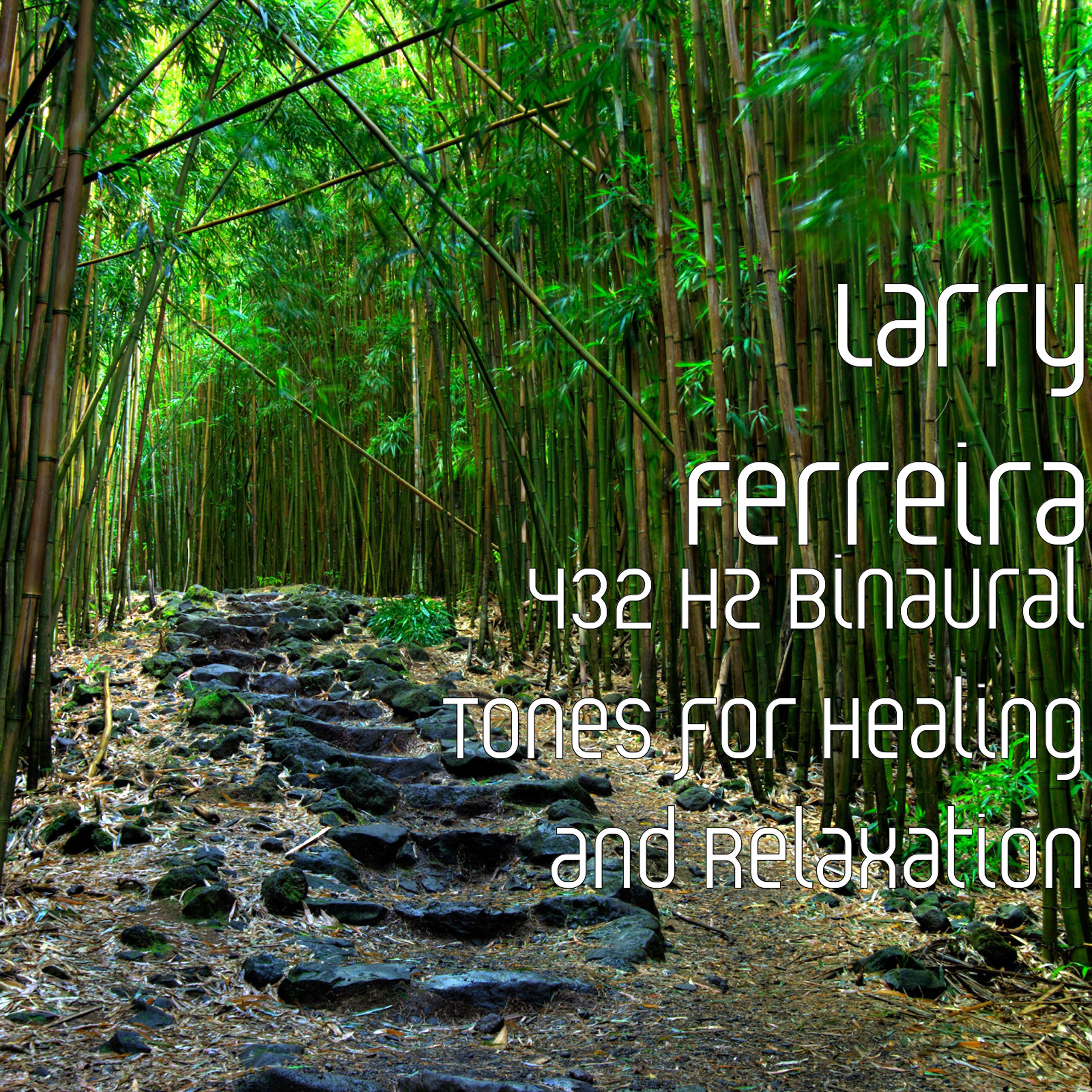 Larry Ferreira