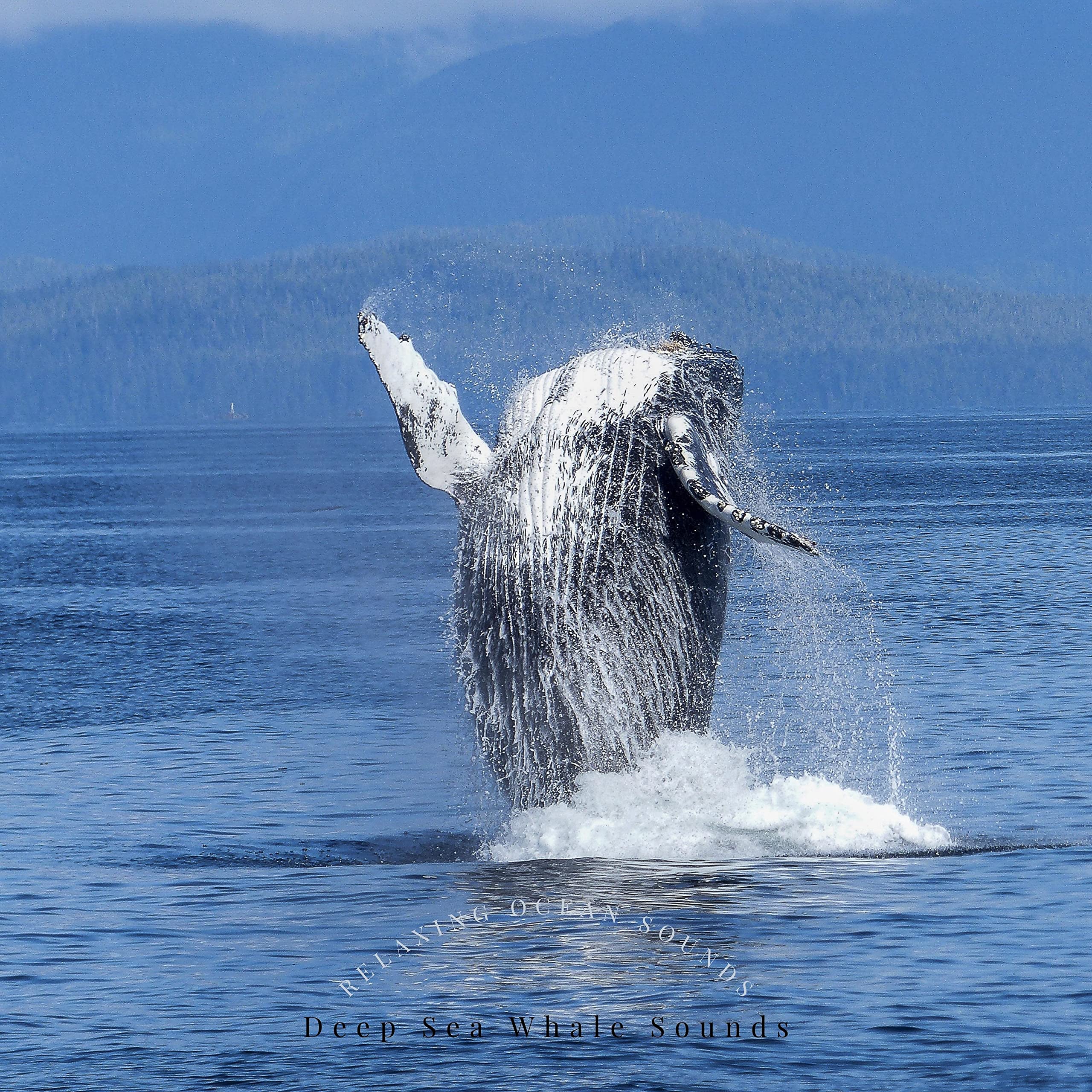 Deep Sea Whale Sounds