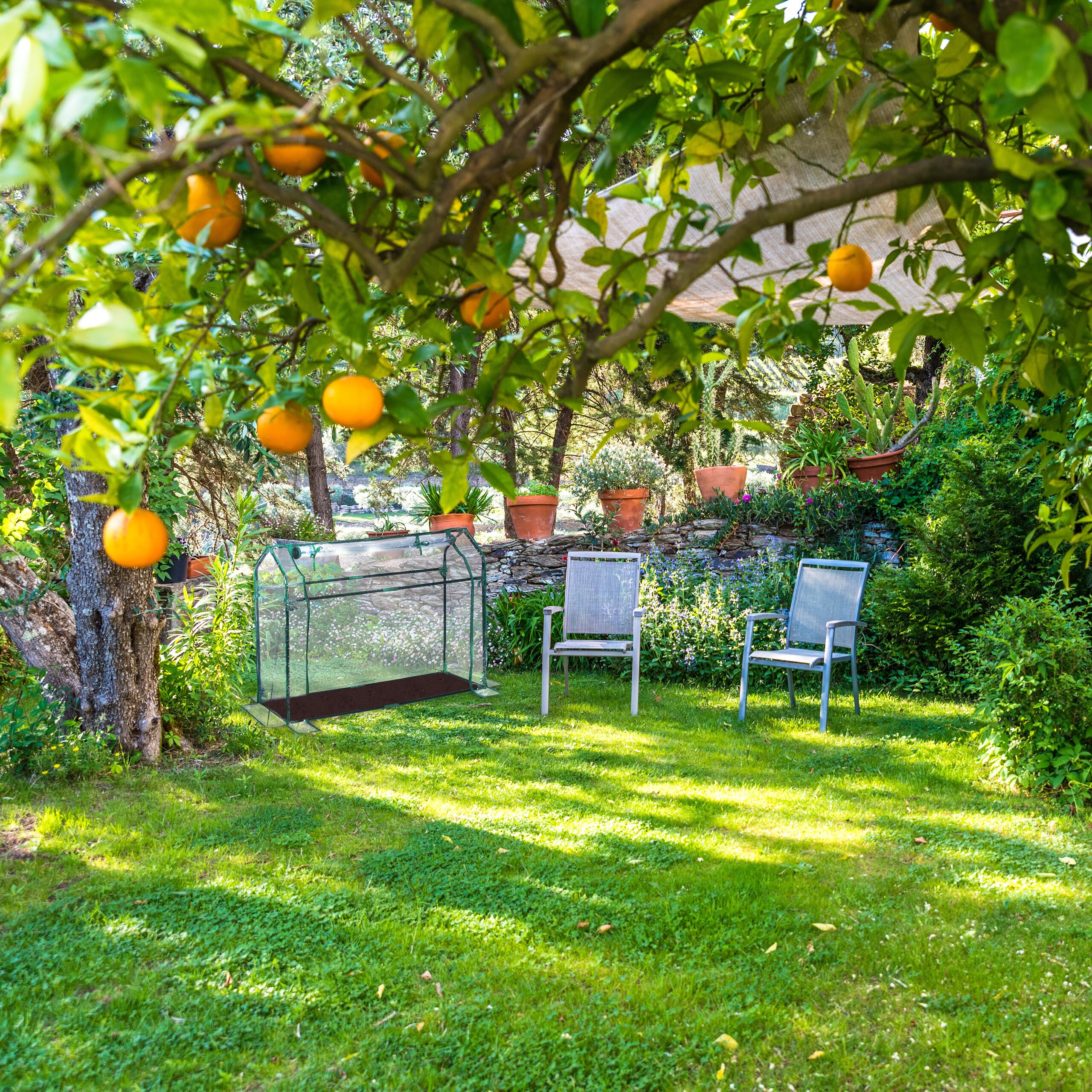 Relaxdays Serre de Jardin avec bâche en PVC, Porte Enroulable, HxLxP : 92x124x42 cm, système d'emboîtement, Transparente