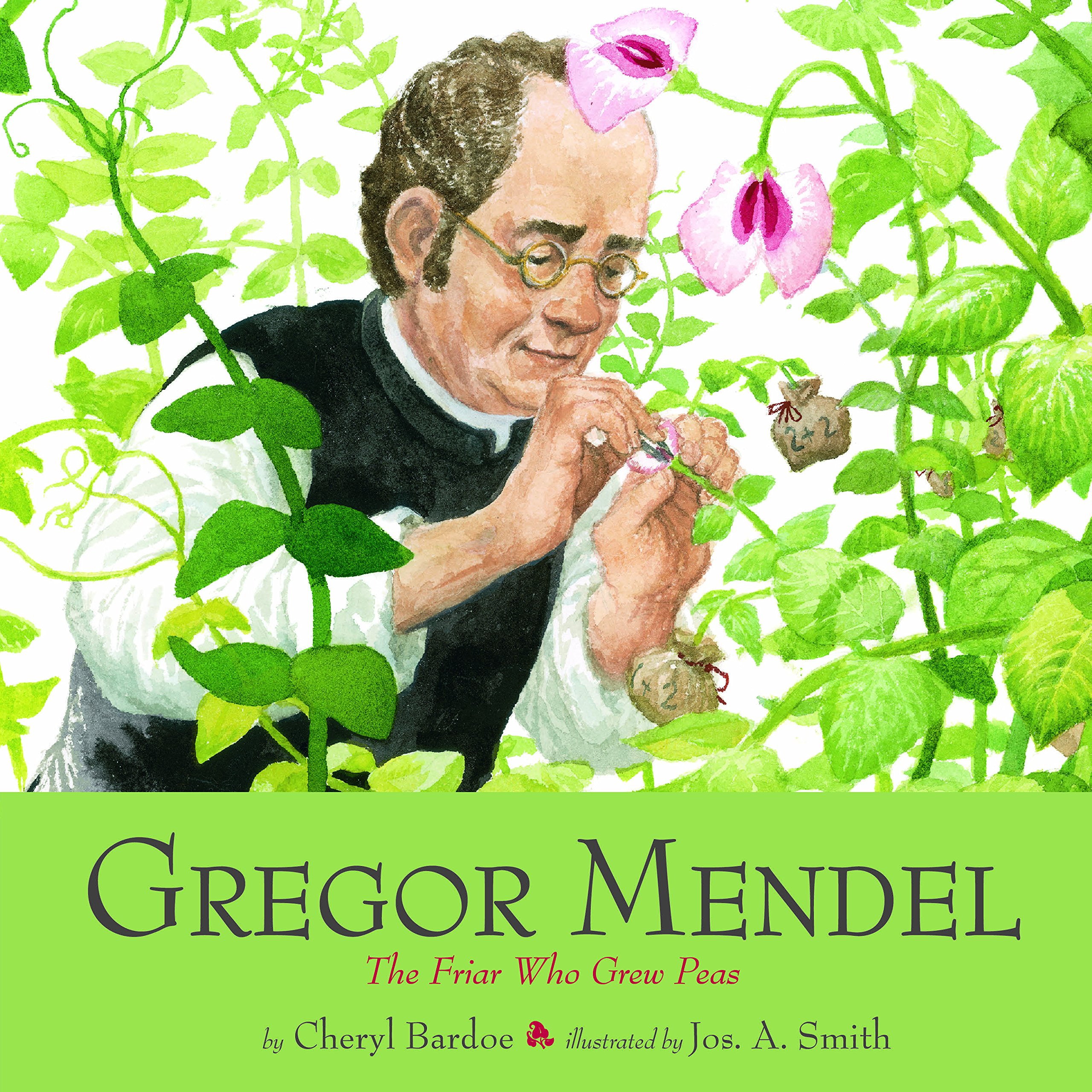 Gregor Mendel: The Friar Who Grew Peas Paperback – Picture Book, August 18, 2015