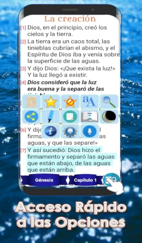 Nueva Biblia al Día (NBD) Con Audio – vue 8