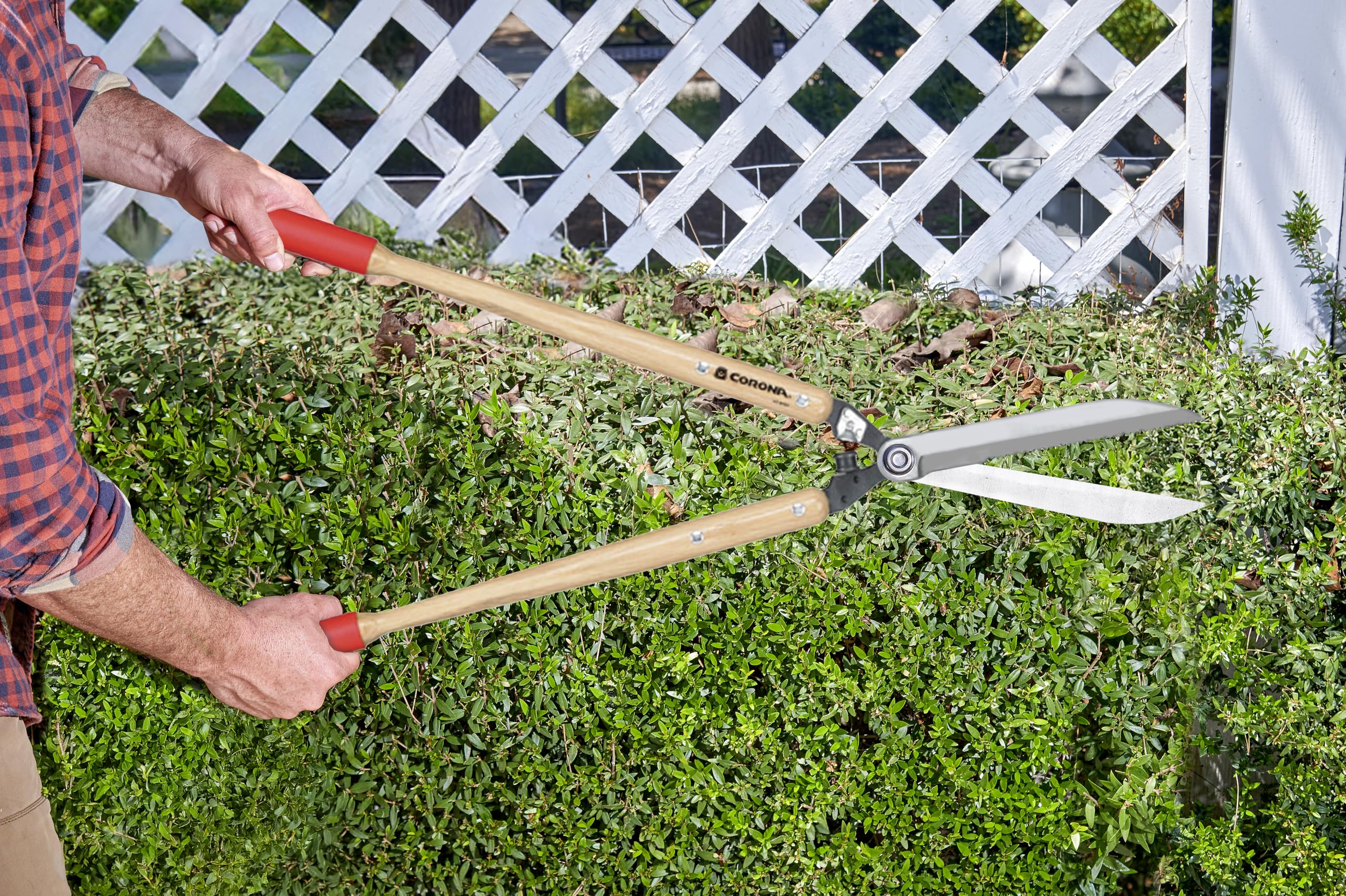 Amazon.com : Corona HS 6930 Serrated Hedge Shear, 8-1/2-Inch Blade