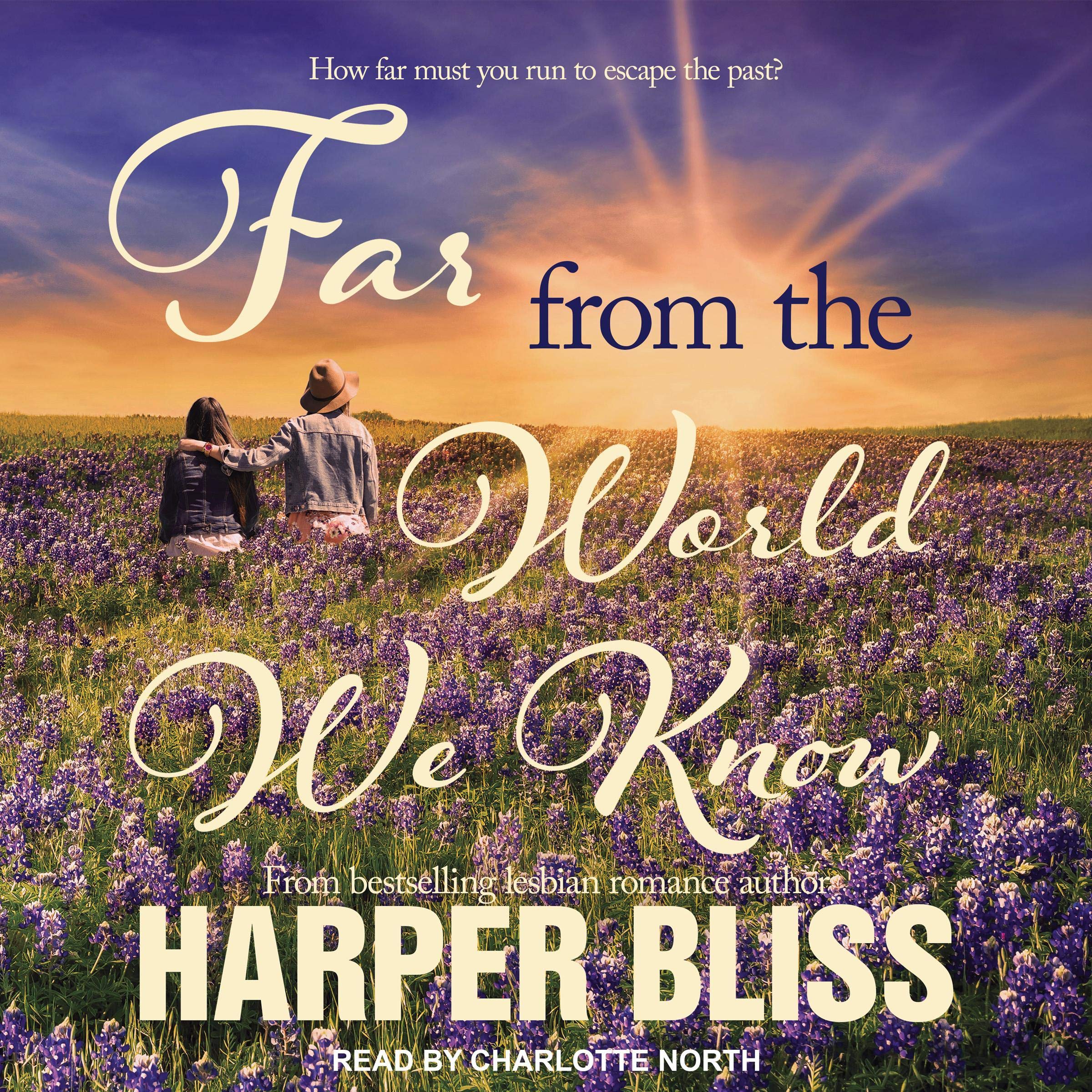 Cover art for Far From the World We Know