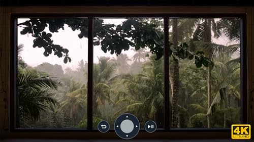 Janela da Tempestade Tropical com Chuva & Trovão - relaxamento, meditação, natureza