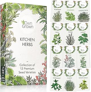 Herb Seeds Set: Herbs Seeds for Planting – 12 Varieties of Herb Plants – Seed Gifts Box with Herb Garden Seeds – Heirloom Seeds Herb Kit by OwnGrown