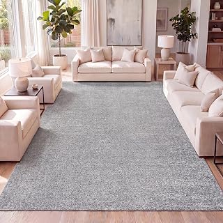 JONATHAN Y Haze Solid Low-Pile Gray Indoor Area Rug 8x10, Coastal,Bohemian,Minimalist,Classic, Easy-Cleaning for Living Room,Bedroom,Kitchen,Pet Friendly,Non-Shedding (SEU100A-8)