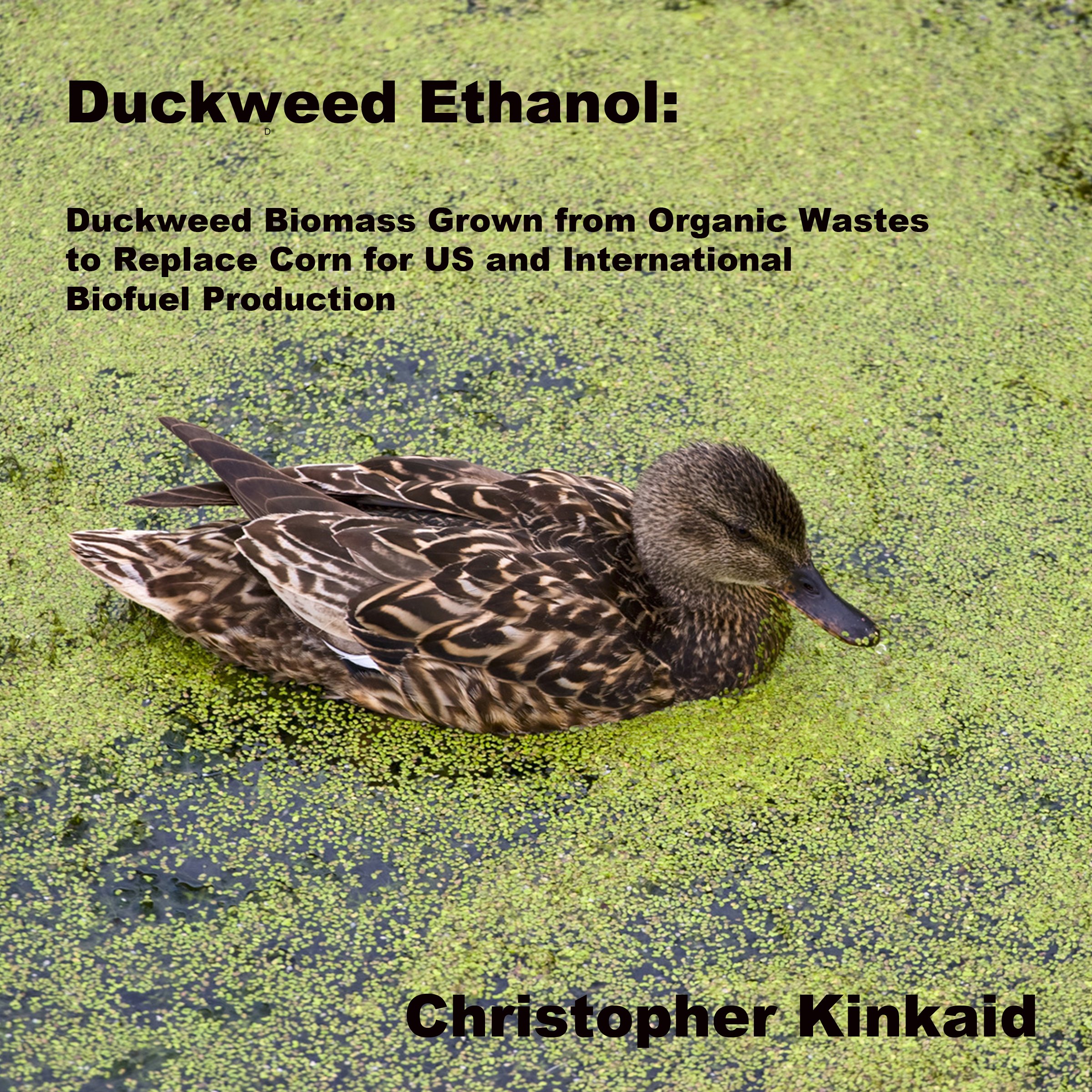 Cover art for Duckweed Ethanol