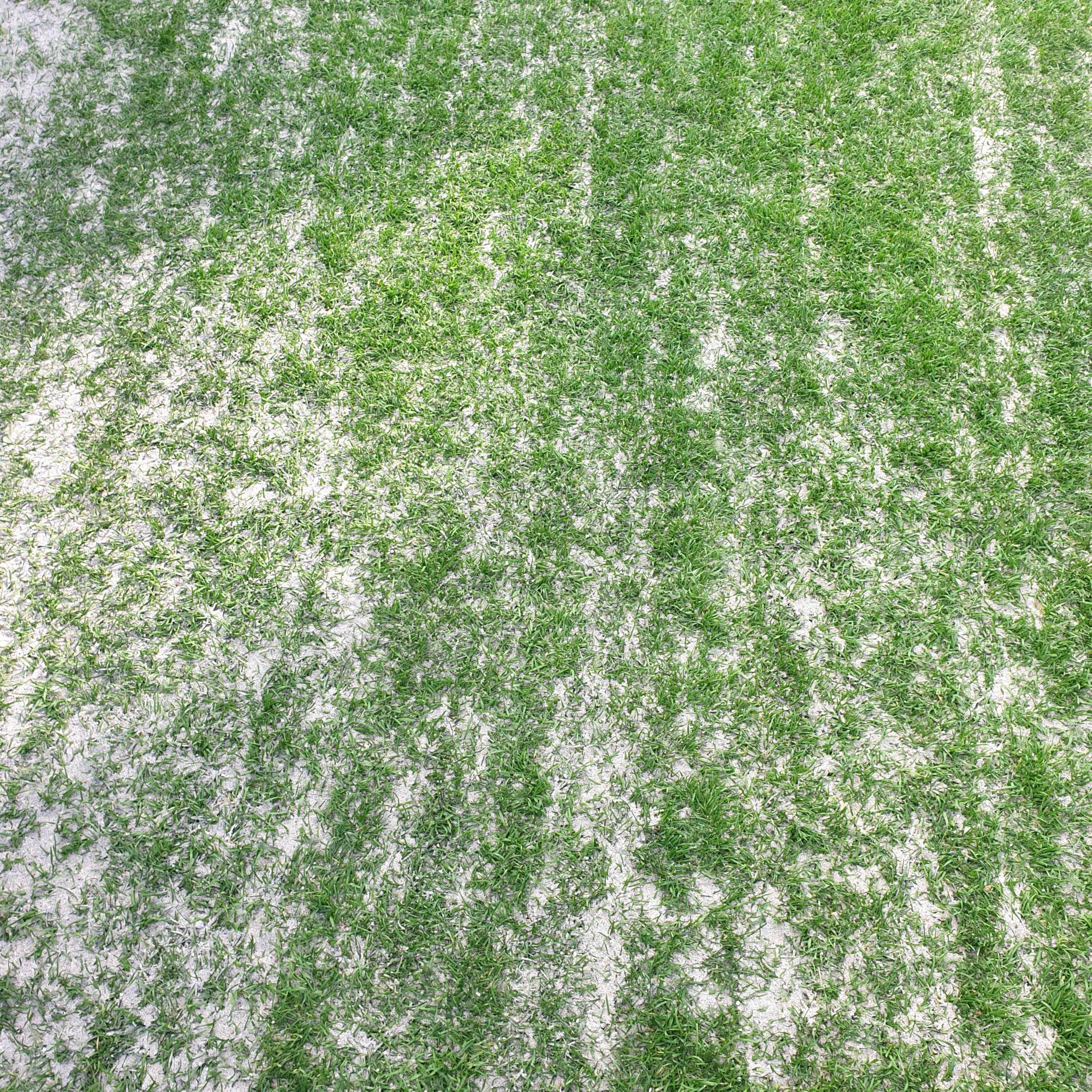 Feuergetrockneter Rasensand 0,2-2mm, 20x25kg PE Sack | Quarzsand zum Rasensand, Für Topdressing und Aerifizieren