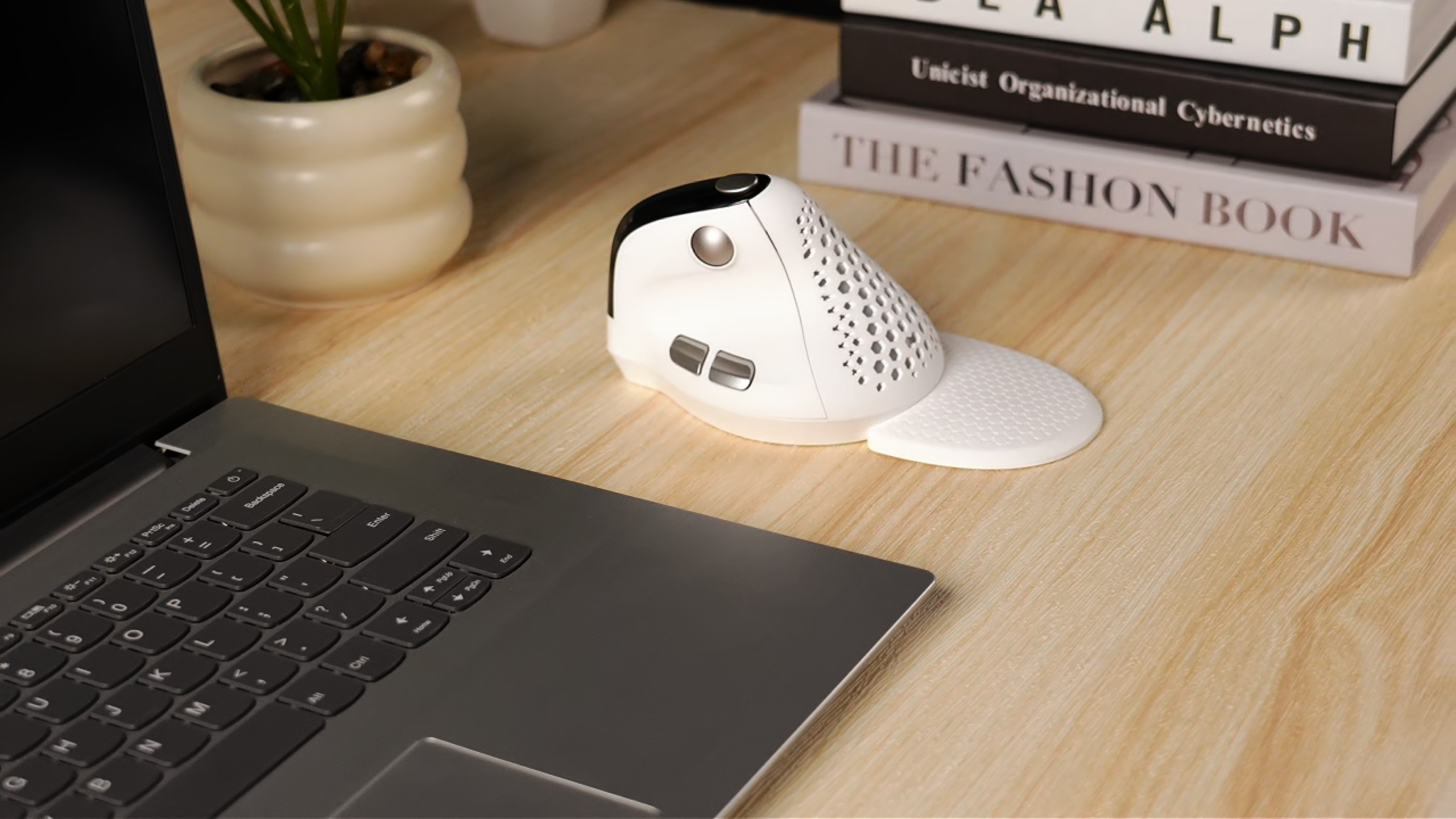 Amazon.com: DELUX Seeker Ergonomic Vertical Wireless Mouse with