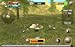 Wild Eagle Sim 3D