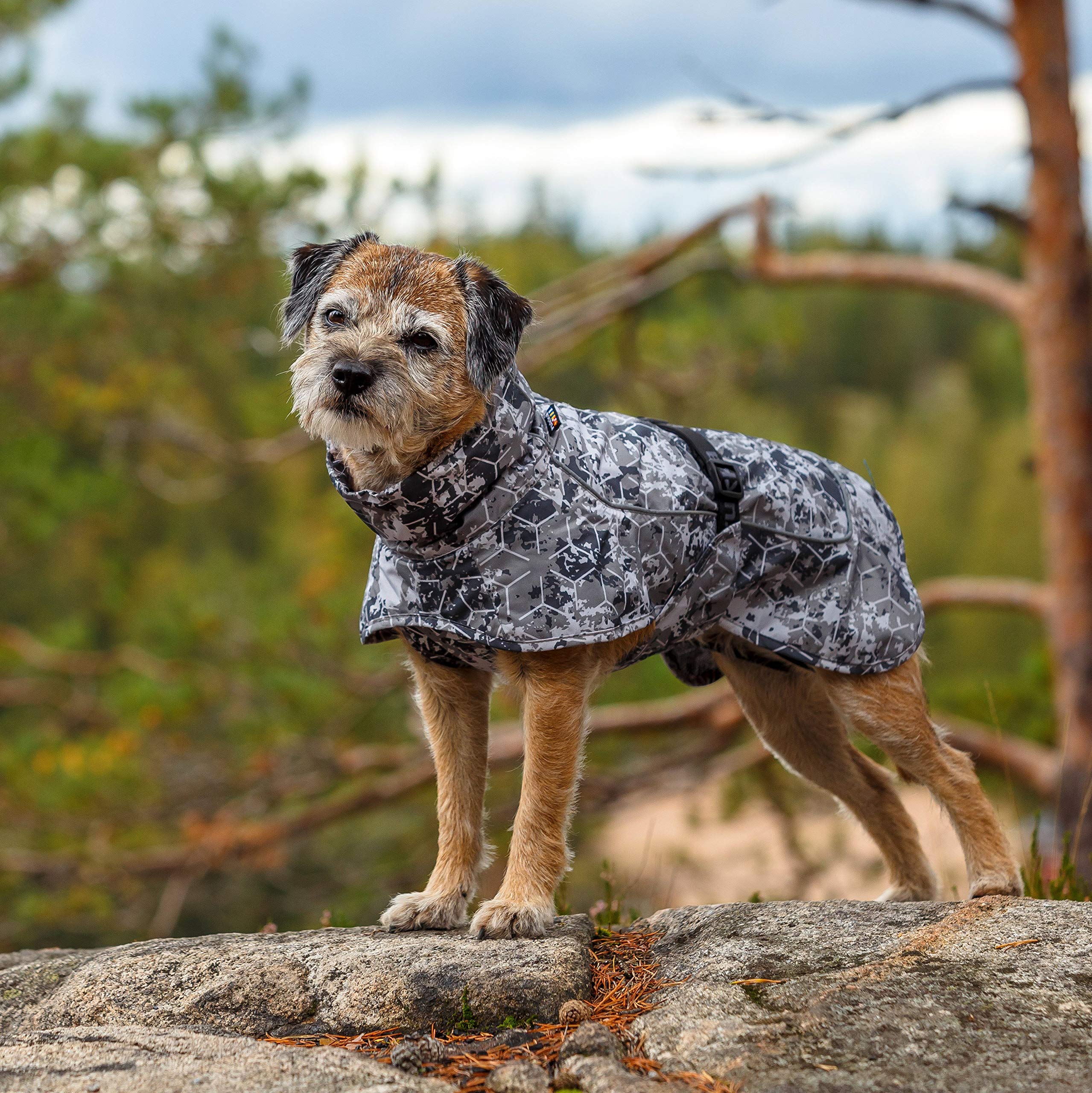 trockenfutter ohne getreide Wildfang Adult Trockenfutter Kaninchen & Truthahn  getreidefrei   Wildfang.pet