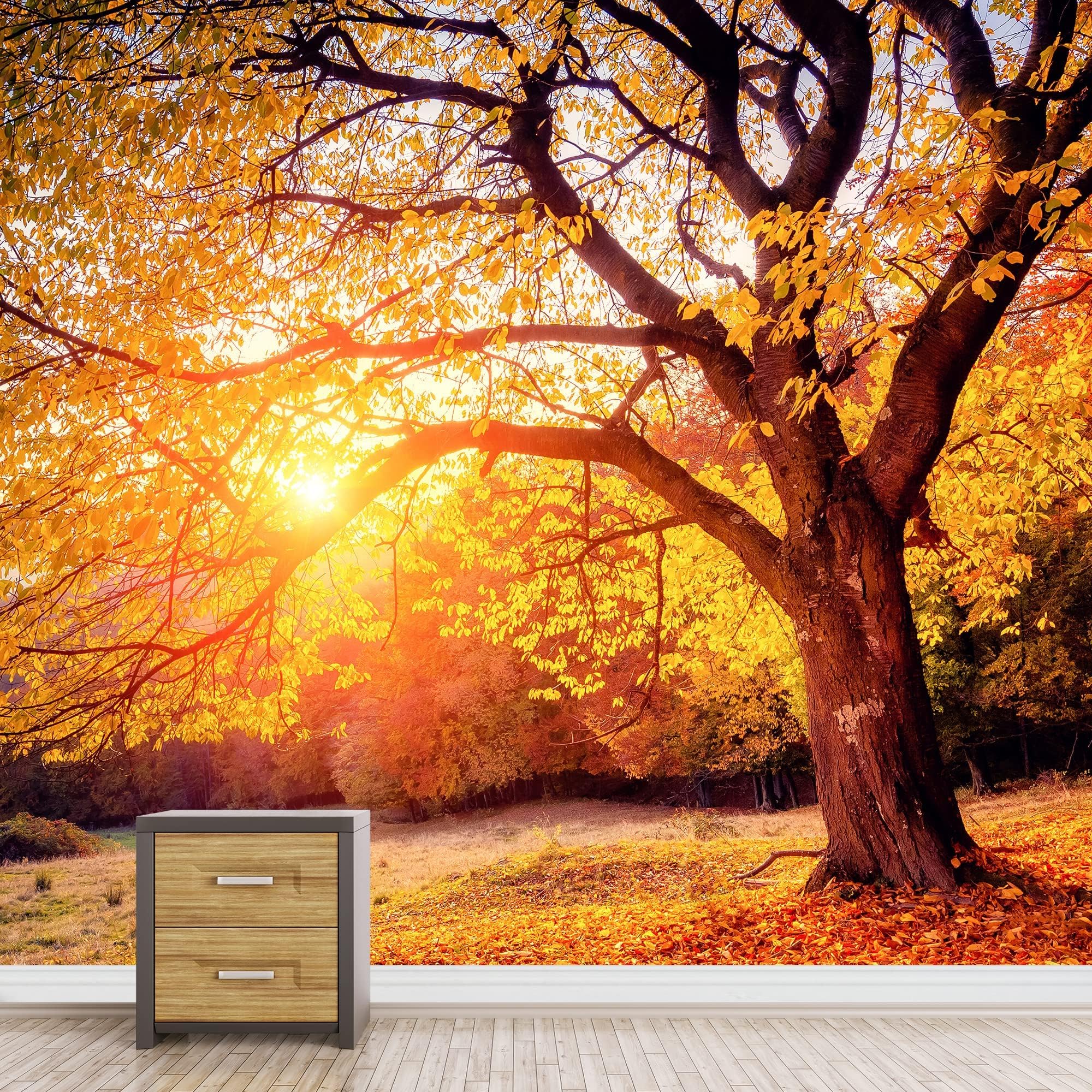 ZocKz Autumn Tree 3D Large Wallpaper, Sunlight Panoramic Mural