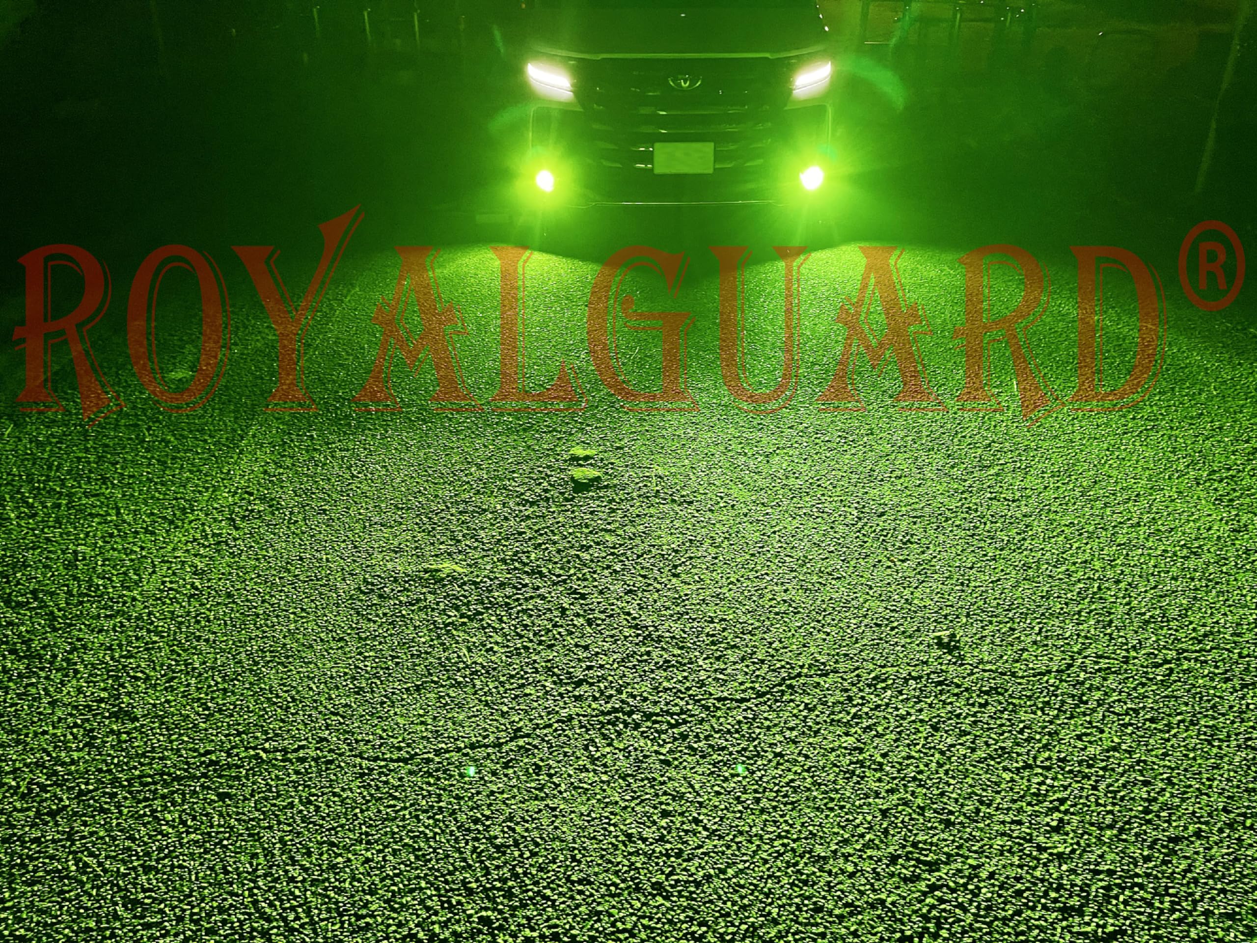 ロイヤルガード　L1B イエロー　ほぼ新品 L1b LEDバルブ 純正LEDフォグ交換キット イエロー 3000k ロイヤル