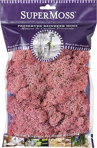 Miniatura 24 de SuperMoss (21710) Musgo de Reno Conservado, Verde Bosque, 1.36kg