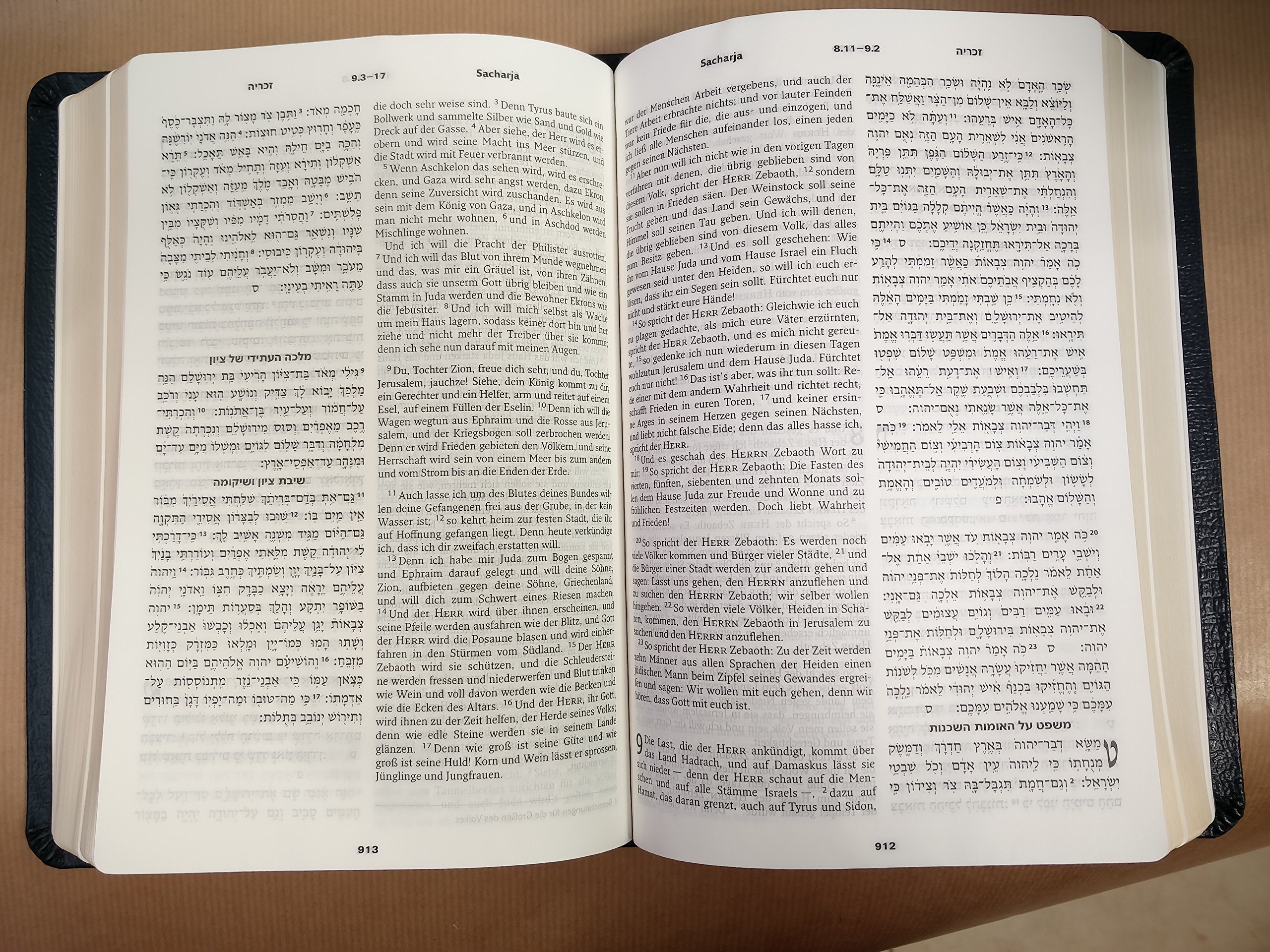Die Bibel: Hebräisch-Deutsch mit weichem Leder und Goldschnitt