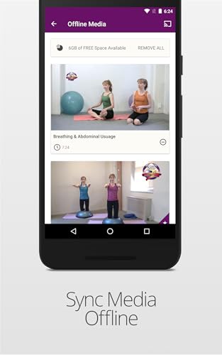 Pilates on Fifth Online