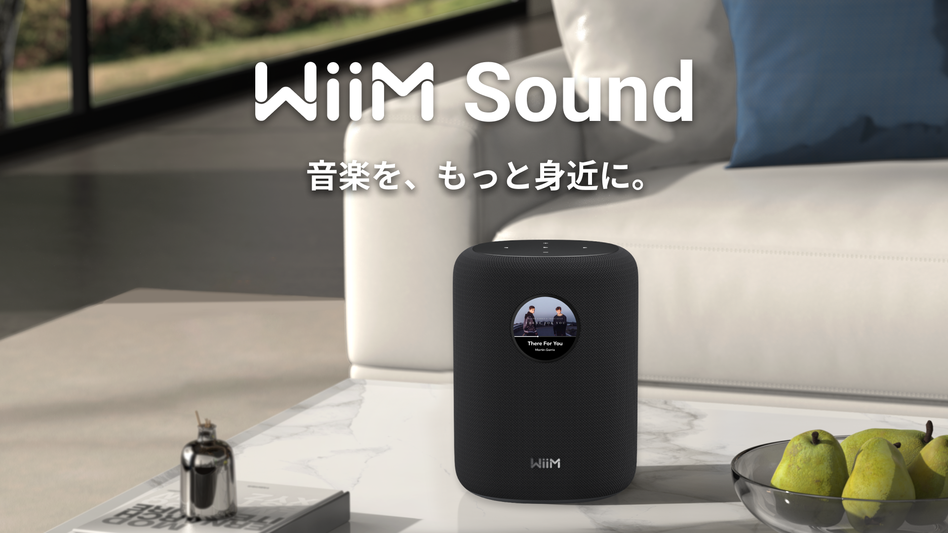 Amazon.co.jp: 【直輸入品】WiiM Sound スマートスピーカー 1.8インチ