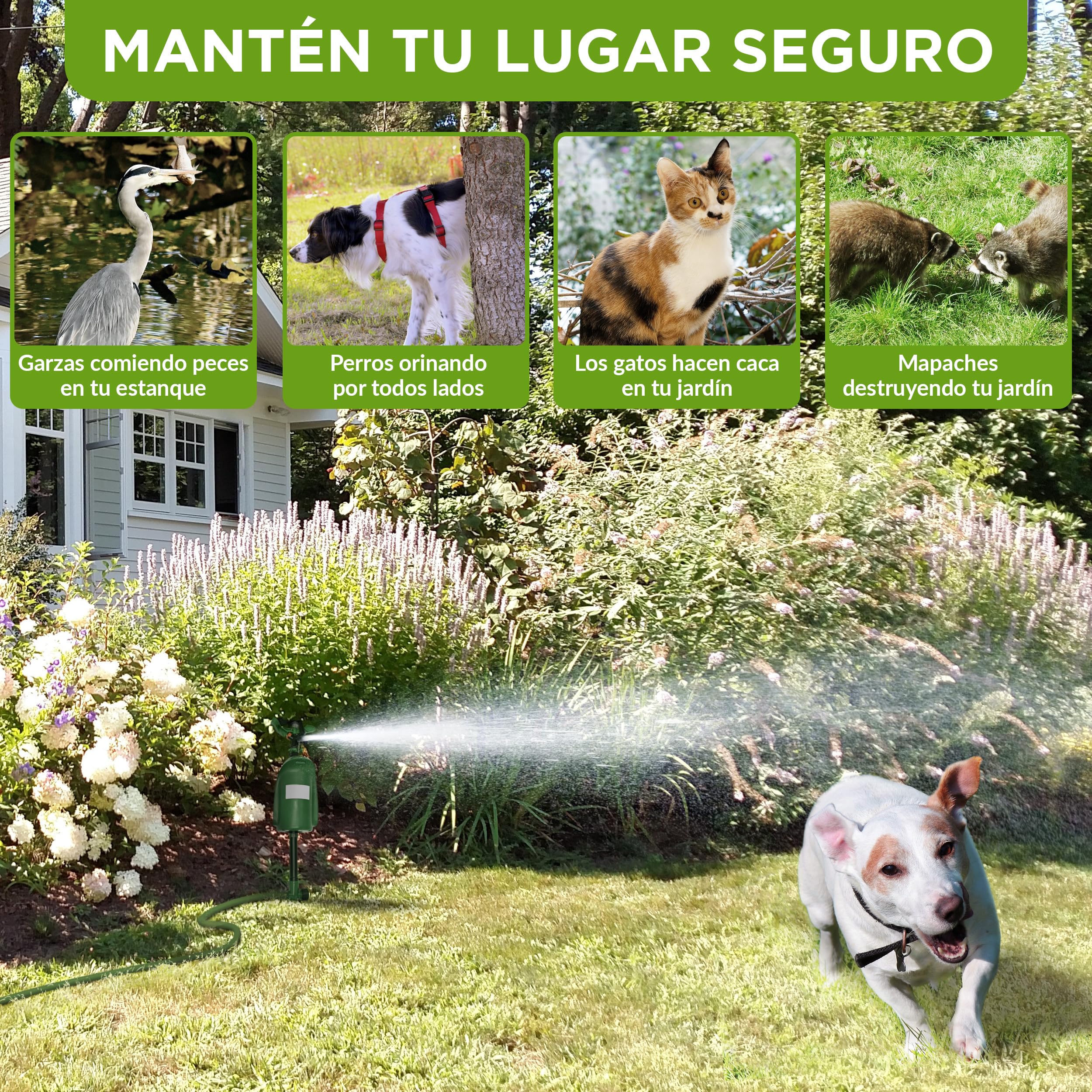 ISOTRONIC Repelente de Animales con Chorro de Agua — Ahuyentador de Gatos y Garzas con Detector de Movimiento 120° — Radio Ajustable para Jardín y Estanque — Defensa Eficaz (1 Unidad)