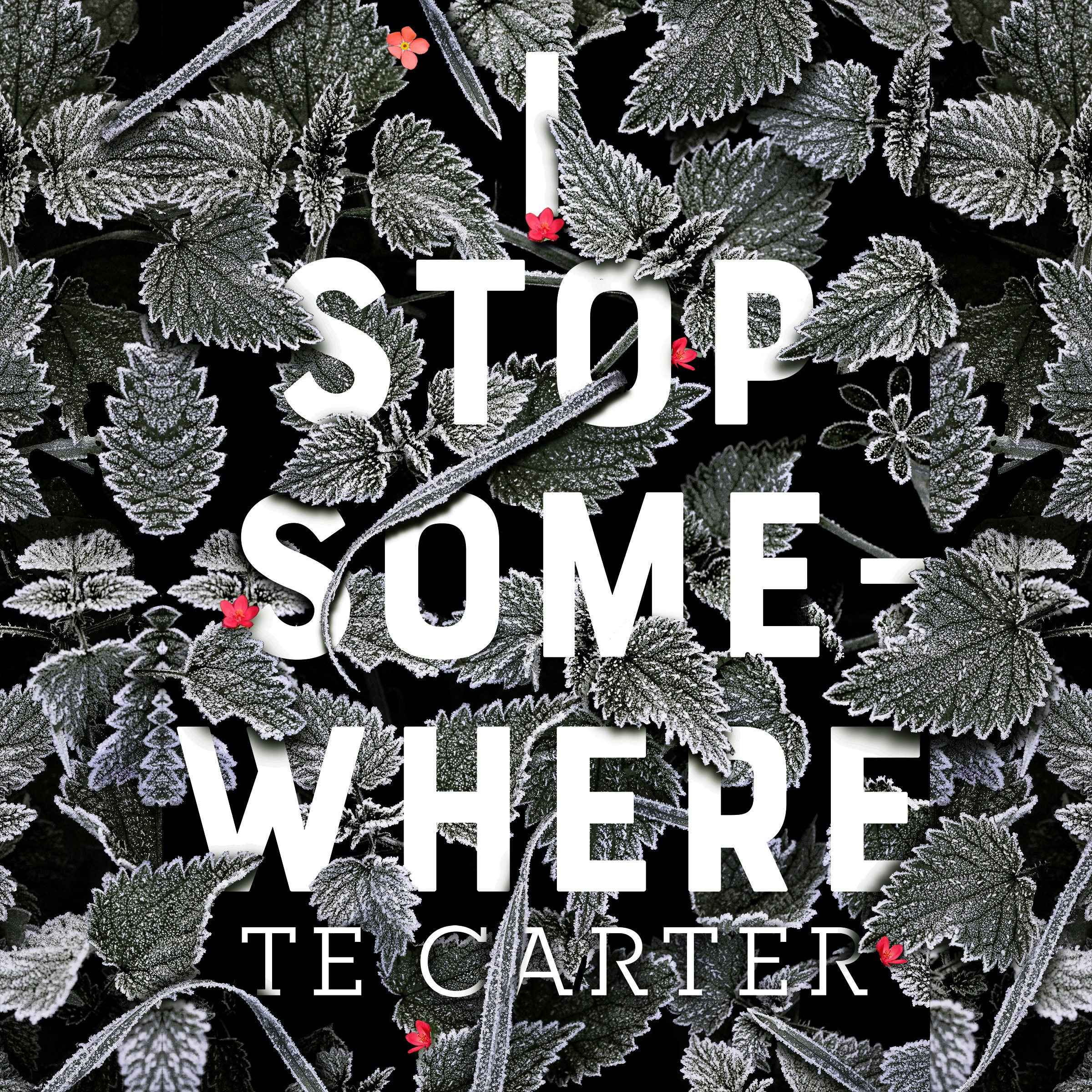 Cover art for I Stop Somewhere