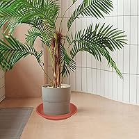 Vista 23 de 5 Packs Plant Saucer Pot Tray 6 8 10 12 14 16 19 20 Inch Plastic Flower Planter Saucers and Drip Trays for Indoors Outdoors, Heavy Durable Plant