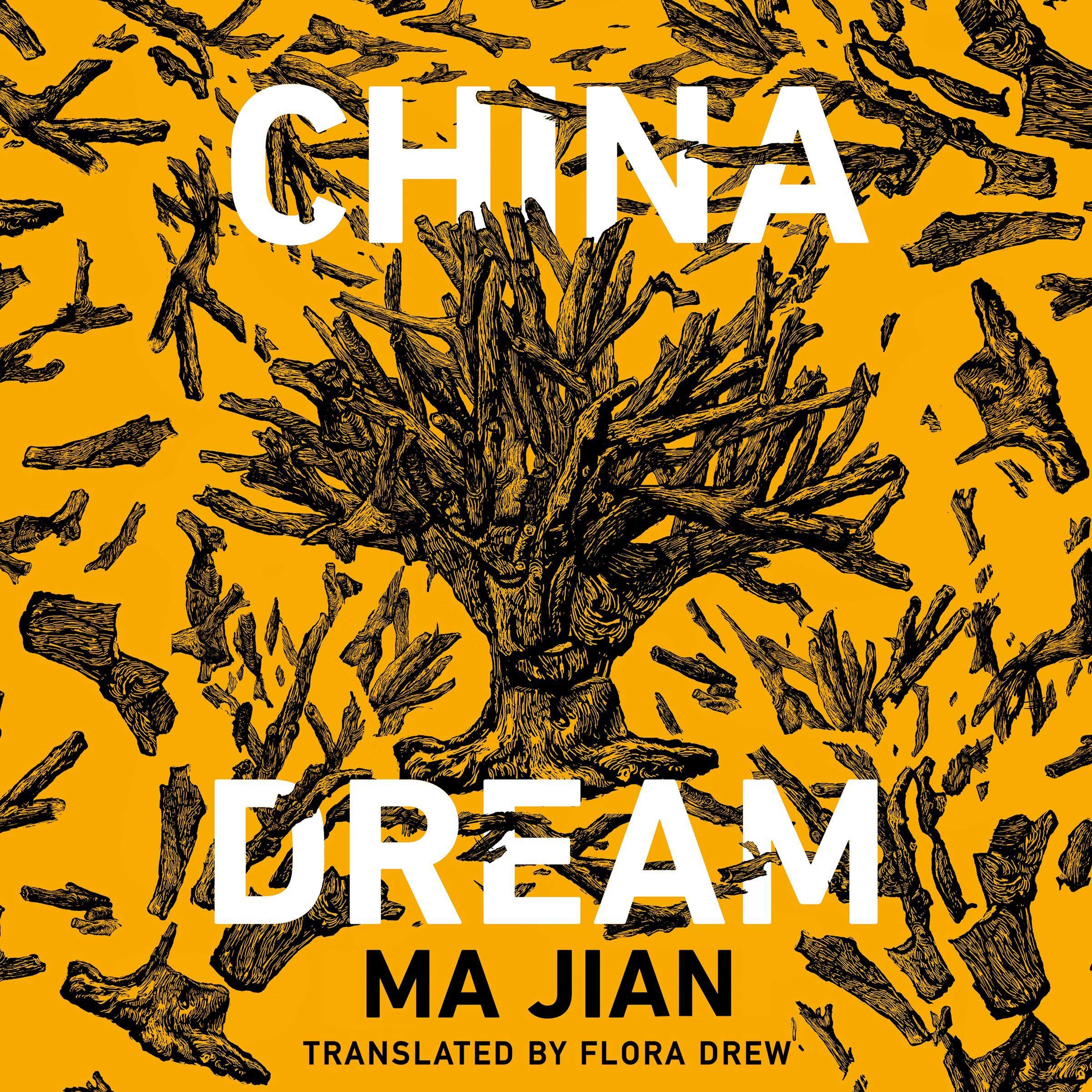 Cover art for China Dream
