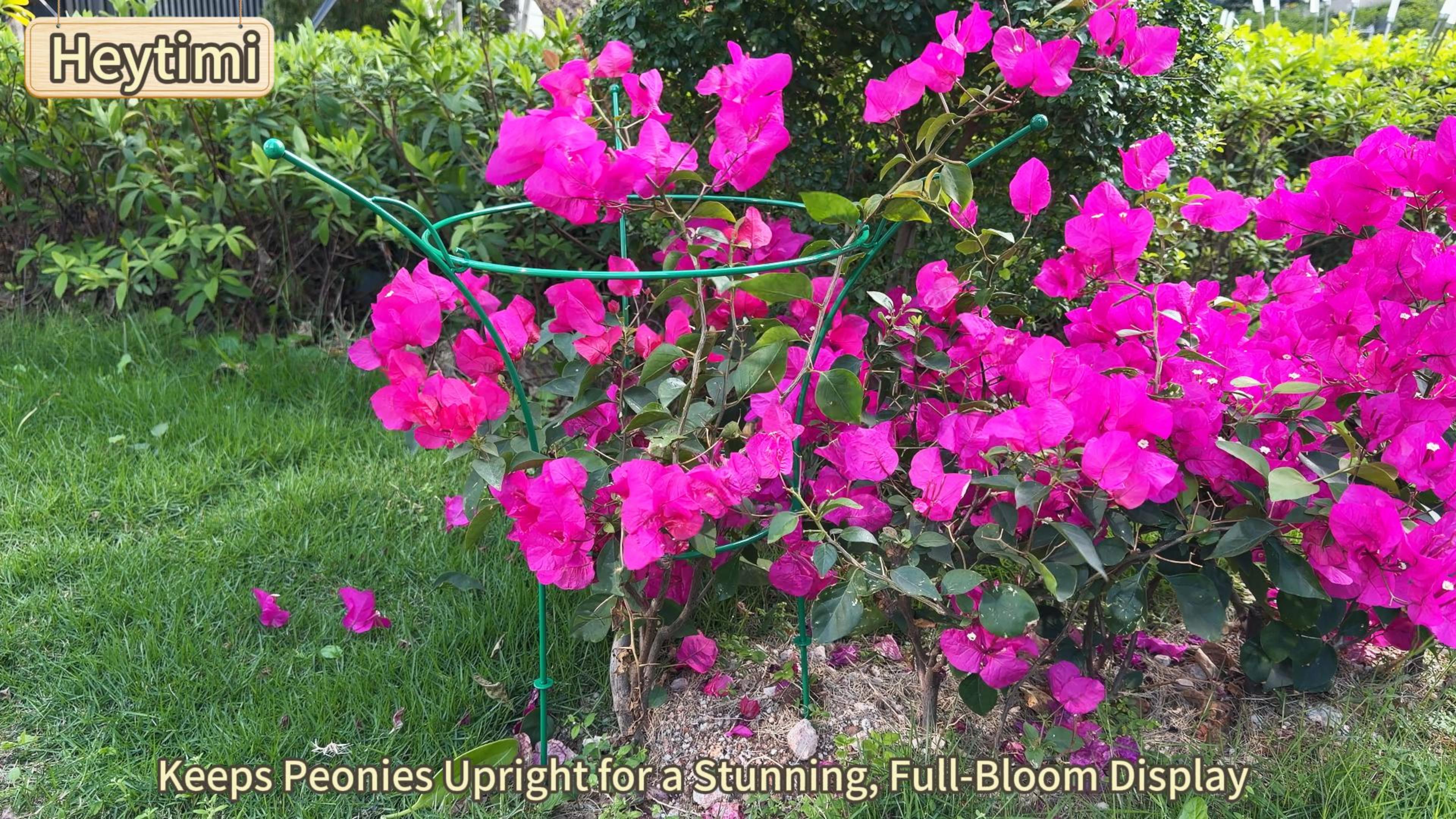 Amazon.com : HEYTIMI 2 Pack Peony Cages and Supports Cages 13