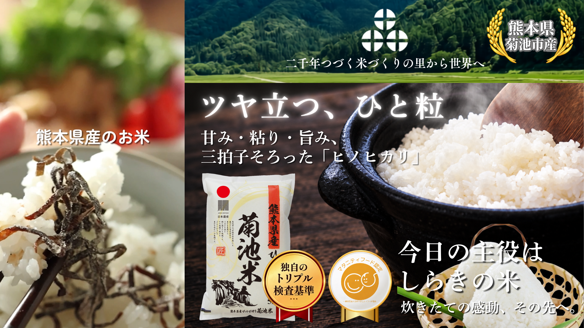 Amazon.co.jp: 九州の大自然しらき 令和7年産 白米 5kg ヒノヒカリ